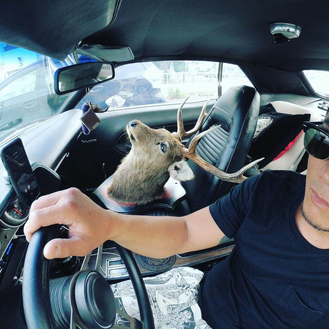 高谷裕之さんのインスタグラム写真 - (高谷裕之Instagram)「俺 with 鹿 in 'CUDA.」6月14日 17時01分 - takaya.evilfist