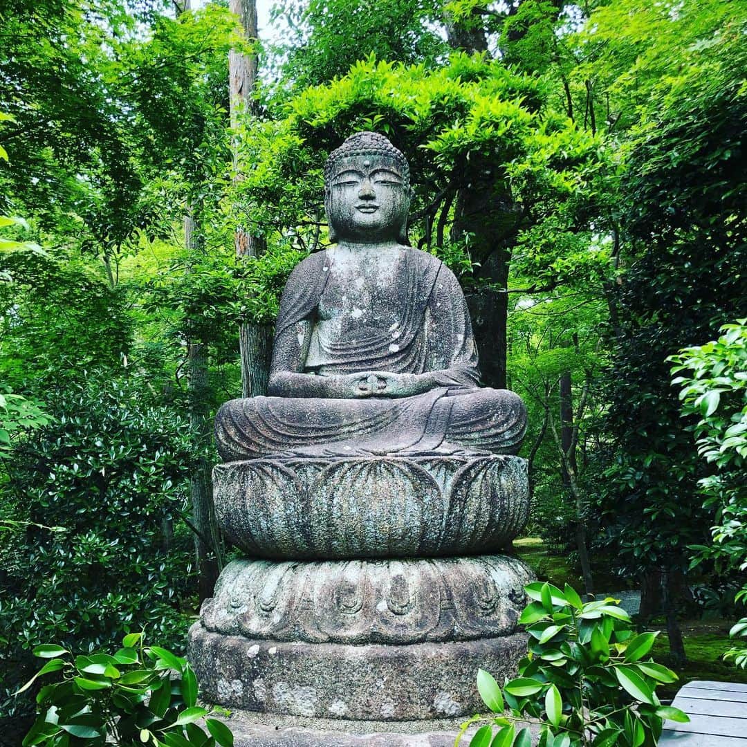 落合健太郎さんのインスタグラム写真 - (落合健太郎Instagram)「月曜日はアメリカケンタッキー州からお客さま。 弟の高校の同級生と彼の娘さんが 遊びに来た。 UKで（大阪のダイナーではなく、モデルとなった大学） Landscaping を勉強してるということで京都のお寺やお庭を 見に行こうと！と 龍安寺へ。 僕も初めて訪れた。 平日にも関わらず、沢山の観光客が。 15の石が設置されているのに どこから見ても14個しか見えない、エリザベス女王が絶賛した 石庭。 その反対側にはお茶を淹れる前に手を洗ったツクバイがある。 「われ、ただ足るを知る」 「吾唯足知」と書かれている。 色々と考えさせられる時間だった。 石庭を眺めながら 自問自答していたら すぐに時間が経ってしまった。  娘さん、スカイラに 「どうだった？」と聞いたら “Yeah,it was Cool!”と 一言笑笑。」6月14日 17時08分 - dj_ochiken1117