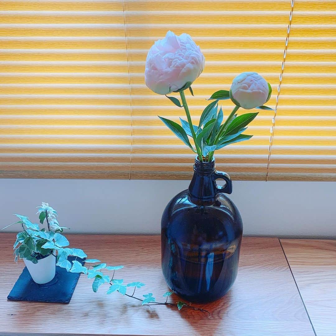 kkkkkaoriiiiiさんのインスタグラム写真 - (kkkkkaoriiiiiInstagram)「開く前に買ったシャクナゲの花が大きく綺麗に咲きました🌸 部屋にお花があると心にゆとりができる気がします💓 . #石楠花  #しゃくなげ  #kaorihappyroom  #instagood  #instalike  #instaflowers  #flowerstagram  #お花のある暮らし」6月14日 17時54分 - kkkkkaoriiiii
