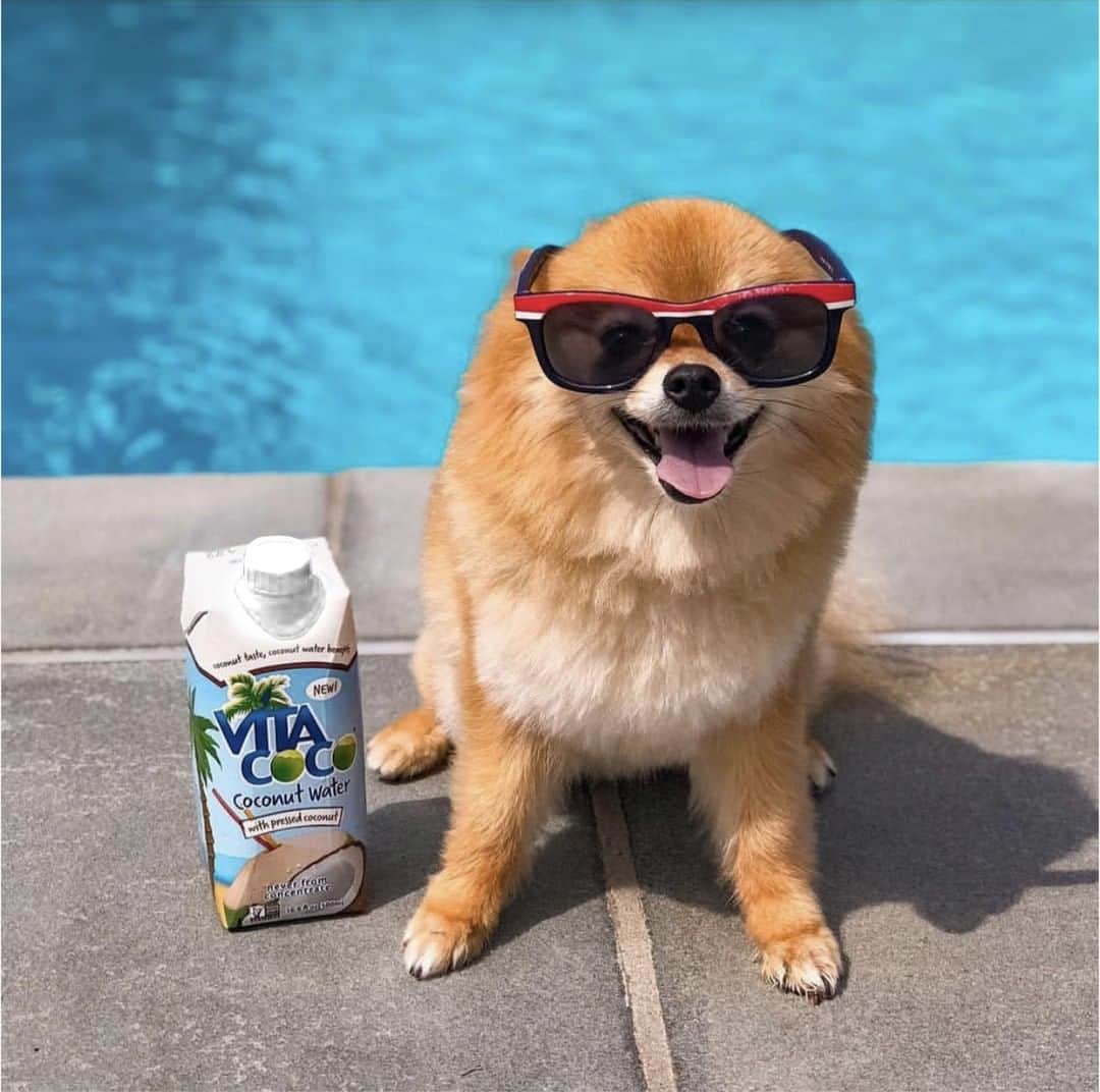 Vita Coco Coconut Waterのインスタグラム：「weekend mood:」