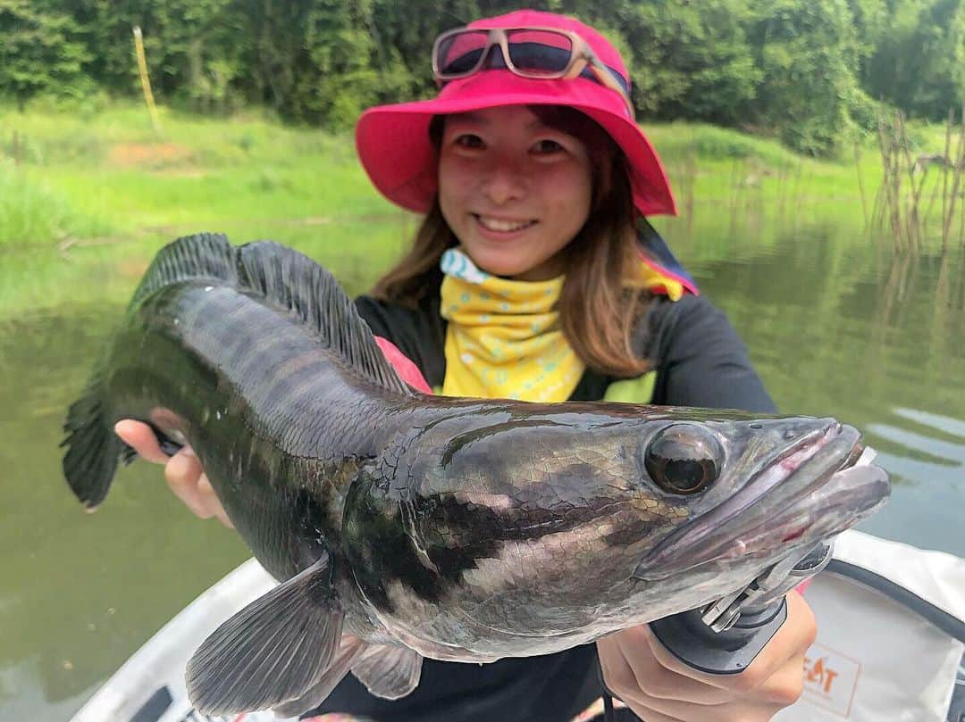 高本采実さんのインスタグラム写真 - (高本采実Instagram)「🎣 前からトーマン🤩🐟 お目目がでかーい(⁎˃ᴗ˂⁎) . . . . . #マレーシア  #Malaysia #beris #berislake #berislakefishingadventures  #giantsnakehead #snakehead #toman #ジャイアントスネークヘッド #スネークヘッド #トーマン #怪魚 #雷魚 #怪魚ハンター #ボートフィッシング #boatfishing #海外釣行 #釣り #釣りフォト  #釣りフォトコン #釣り好き #釣りガール #fishing #fishinggirl #高本采実 #あやみん #ayamistagram」6月14日 18時03分 - ayami__summer