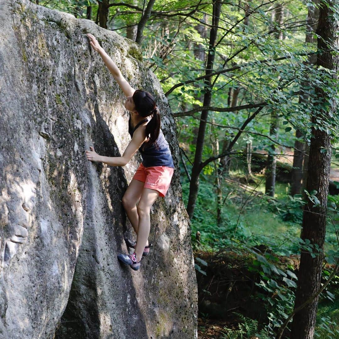 大田理裟のインスタグラム：「🌲🌲🌲 📸 : @shintaozawa  #climbing #climbinglife #mountain #rockclimbing #bouldering #クライミング #ボルダリング」