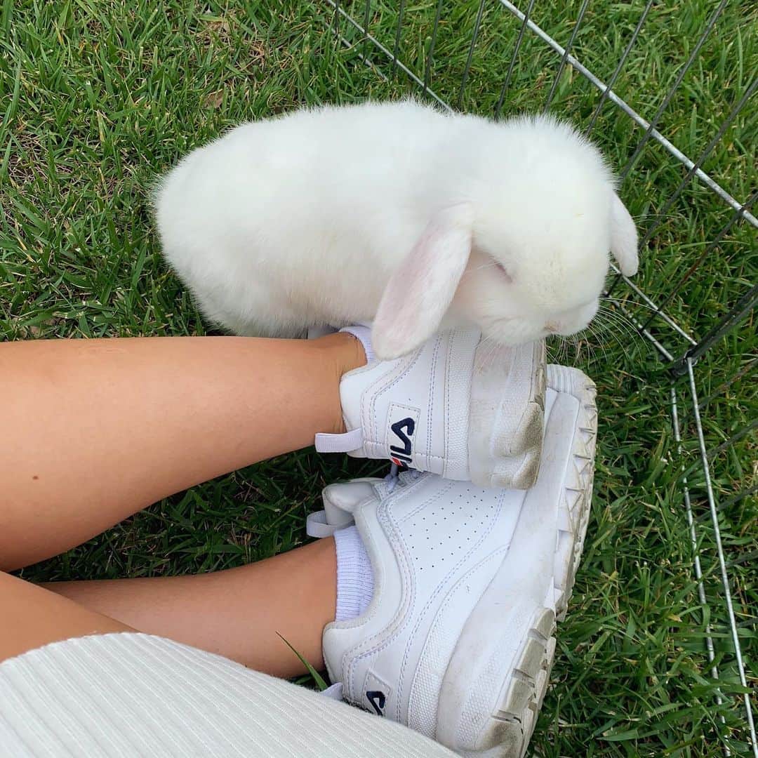 ケルシーのインスタグラム：「im allergic to you but ur still cute so i’ll play with u」