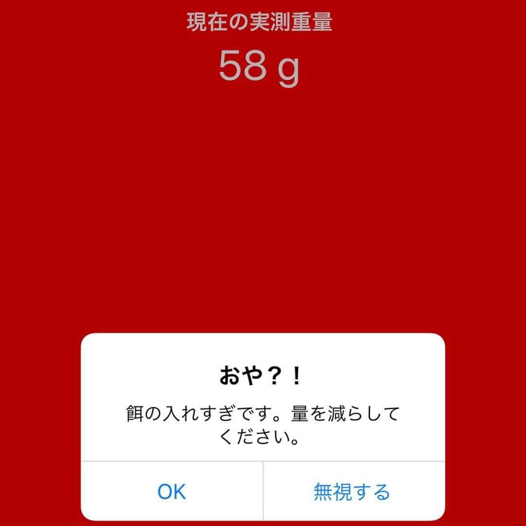 玉ねぎ戦士さんのインスタグラム写真 - (玉ねぎ戦士Instagram)「こんばんちわわ。 ペットブルアンバサダーのタラオでしゅ🐶 はやくご飯をこの中に入れるでしゅ🍖🍖🍖 ・ ・ いつも運動量を測るスマートタグについてだったので、今日はスマートボウルについて🥣 ・ ・ いつも運動量を測るスマートタグについてだったので、今日はスマートボウルについて🥣 ・ ・ 🌟@petble.jp  無料アプリを落としましゅ。 🌟ペットちゃんの必要情報を入力(性別、体重、避妊去勢済or未etc...) 🌟普段あげてるフード情報を入力。 バーコード読み込み機能もあるので簡単でしゅ。 🌟あとはアプリとスマートボウルを連動させて、器にご飯を投入するだけでしゅ！！ (はやく入れて欲しいでしゅー！) 🌟器が量りになっているので、入れ過ぎると注意が出てくるでしゅ(2枚目)チッ🐶 僕的には無視して大量にくれてもいいんでしゅけどね。 🌟１日に必要な適正量を教えてくれるのでしゅ。 ・ ・ 詳しくはハイライトに使い方動画載せてます🙋‍♀️ 日々アップデートされてどんどん使いやすくなってるよ✨ ・ ・ ・ #ペットブル #petble #スマートボウル #スマートタグ #ペットの体調管理 #健康管理」6月14日 19時54分 - licca_tarao_0311