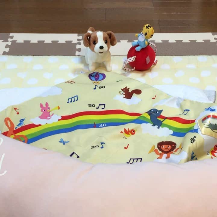 のインスタグラム：「座っていたはずなのに気がつくと移動。 まだズリバイ、ハイハイしません（後ろに移動はできる）ひたすら寝返りでクルクル回って移動。 あと寝相が悪い！笑  足で私の顔蹴ってくる。  離乳食2回食になってだいぶ経ちますが、やってきた離乳食拒否。。。💦 とはいっても好きなもの（甘い系）は食べるんだけど、離乳食中期のモグモグ期の粒を大きくしたものを口にするとウーウー言って機嫌⤵︎ 長い目で見たらいつか食べてくれるんだろうと思ってますが、頑張って作ったもの食べないと凹みますね…(｡-_-｡) なかなか難しいですね。」