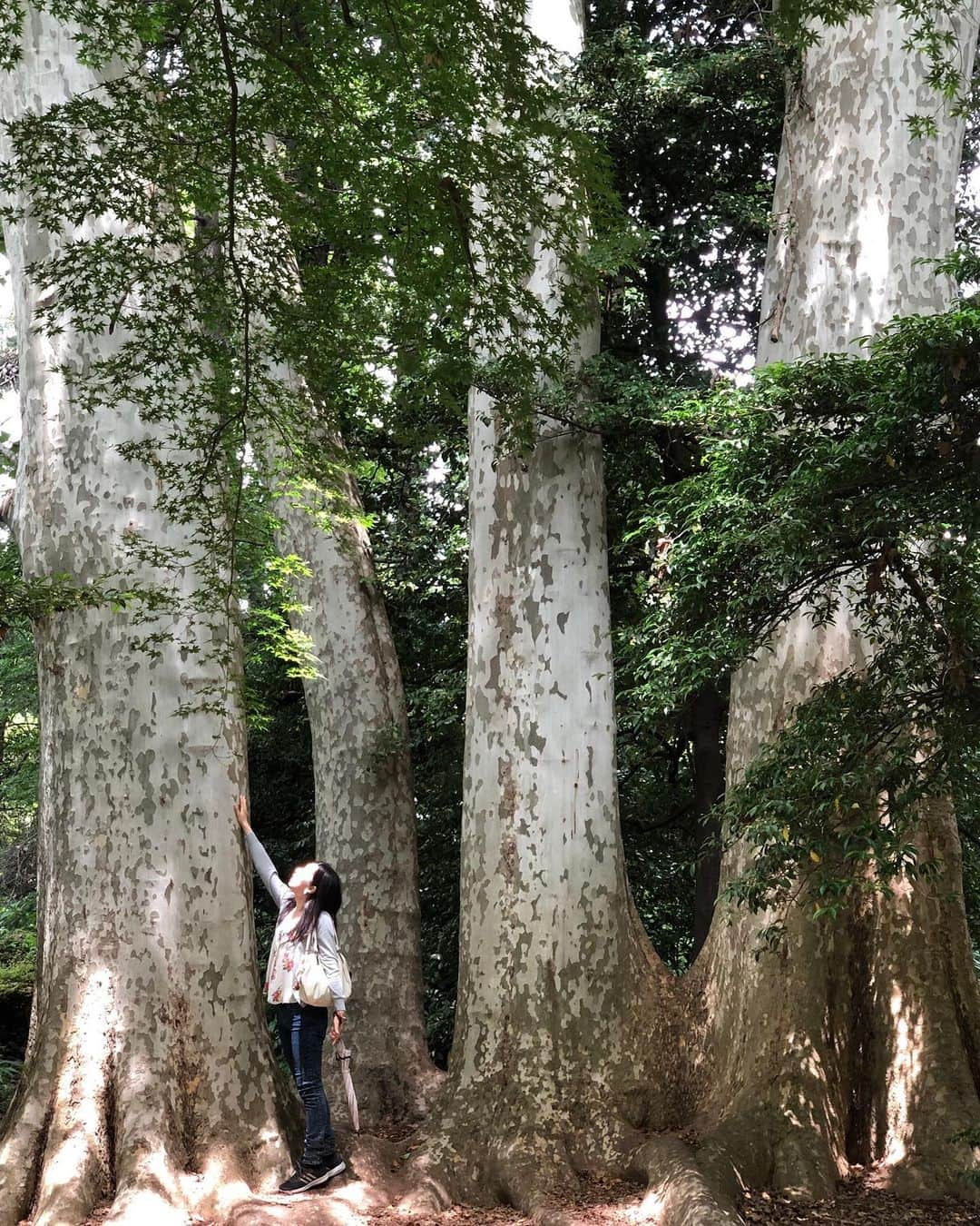 吉野史桜のインスタグラム