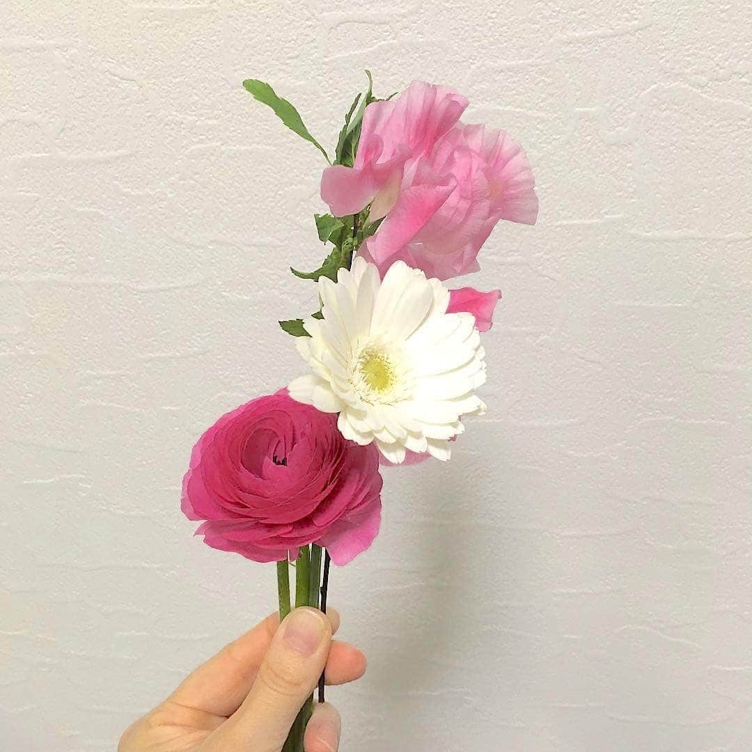Bloomee LIFEさんのインスタグラム写真 - (Bloomee LIFEInstagram)「・ パッと雰囲気を明るくしてくれる、ピンクのお花🌸 お部屋もいつもより少し華やかに💐 ・ お花を眺めながら、 ゆったりと時間を過ごしてみてください…😌🌼 ・ Special Thanks Photo by⠀⠀ @mihokatsuma @shuikumama ・ --- #まいにちローズ 🌹--- タイムラインにバラを咲かせて、まいにち当たるミニブーケをもらおう！ ・ 知っていますか？6月2日はローズの日💓 ローズの日は、自然の恵みに感謝を示す、海外のバラ祭りが元になった記念日です。 日本でも、バラが美しく咲くこの季節。 たくさんの人にお花の素晴らしさを伝えたい。 ・ バラの画像を投稿して、Instagramのタイムラインに咲かせることで、 お花の魅力を一緒に広めてみませんか？ ・ 詳しくは下記 or プロフィールトップのハイライトをチェック👌 ↓↓↓ ■プレゼント：#まいにちローズ で投稿した人の中から抽選で【まいにち1人にバラのミニブーケ】が当たる✨ ■参加方法： ①@bloomeelife をフォロー ②欲しい色のバラ画像を用意(キャンペーン公式ページで誰でも使えるオフィシャル画像を配布中) ③#まいにちローズ #bloomeelife を付けて投稿 ・ 当選者の方にはbloomee LIFE 公式アカウントよりDMにてご連絡させていただきます💌 ・ #bloomeelife#ブルーミーライフ#花のある生活#花好きな人と繋がりたい#おうち時間#花部#花写真#花が好き#花を飾る#暮らしを楽しむ#日々の暮らし#丁寧な暮らし#日々#お花のある暮らし#ナチュラル#素敵な休日#暮らしを整える#くらしのきほん#日々の暮らしを楽しむ#丁寧に暮らす#ローズ#ローズガーデン#バラ#父の日#シンプルインテリア#シンプルな暮らし#ホワイトインテリア#シンプルライフ#ナチュラルな暮らし」6月14日 20時31分 - bloomee