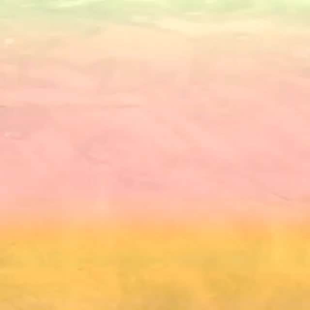 サーフバザーのインスタグラム