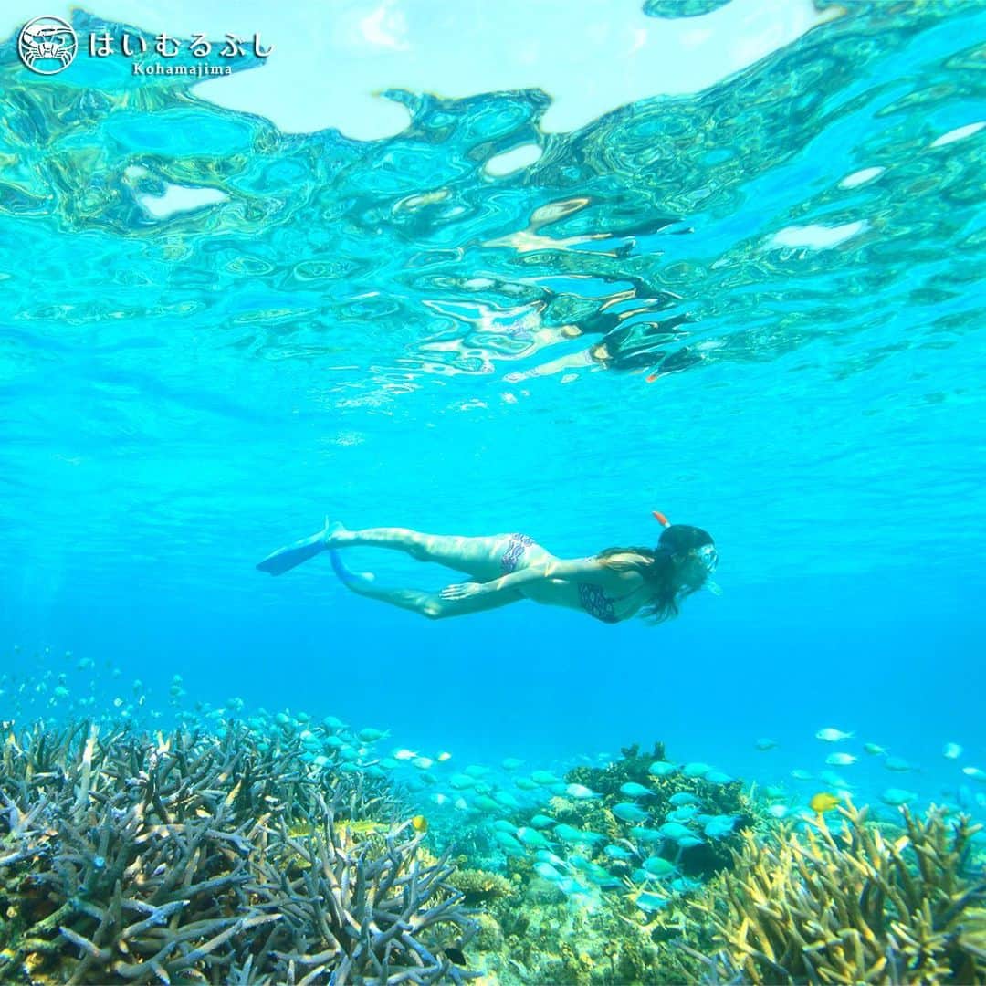 HAIMURUBUSHI はいむるぶしさんのインスタグラム写真 - (HAIMURUBUSHI はいむるぶしInstagram)「海上から見る海も綺麗ですが、海中は素晴らしい世界が広がっています。今年の夏、美しい熱帯魚に癒されにお越しください。#沖縄 #八重山諸島 #石西礁湖 #サンゴ #海 #熱帯魚 #シュノーケル #小浜島 #リゾート #はいむるぶし #japan #okinawa #yaeyamaislands #bluesea #coral #tropicalfish #snorkel #kohamaisland #beachresort #haimurubushi」6月14日 20時51分 - haimurubushi_resorts