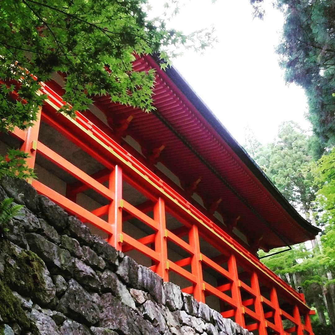 市川笑野さんのインスタグラム写真 - (市川笑野Instagram)「南座ナルト公演、本日は休演日でした。 私は初めての比叡山へ行ってまいりました！ まずは横川中堂。 #比叡山延暦寺 #横川 #横川中堂 #naruto #ナルト歌舞伎 #天台宗」6月14日 21時01分 - emino.i