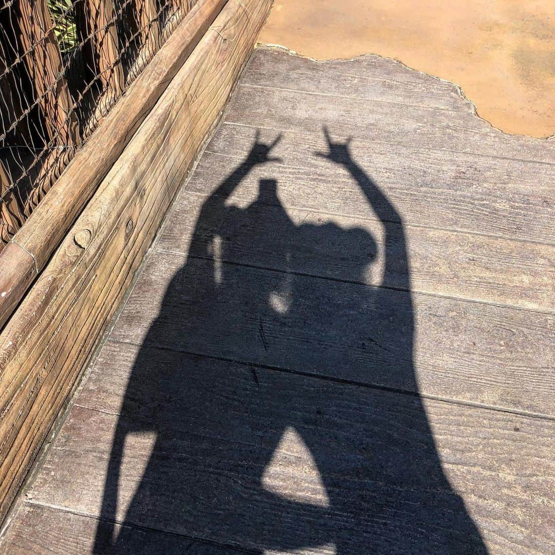 浪花ほのかのインスタグラム：「、 、 、  #disneysea」