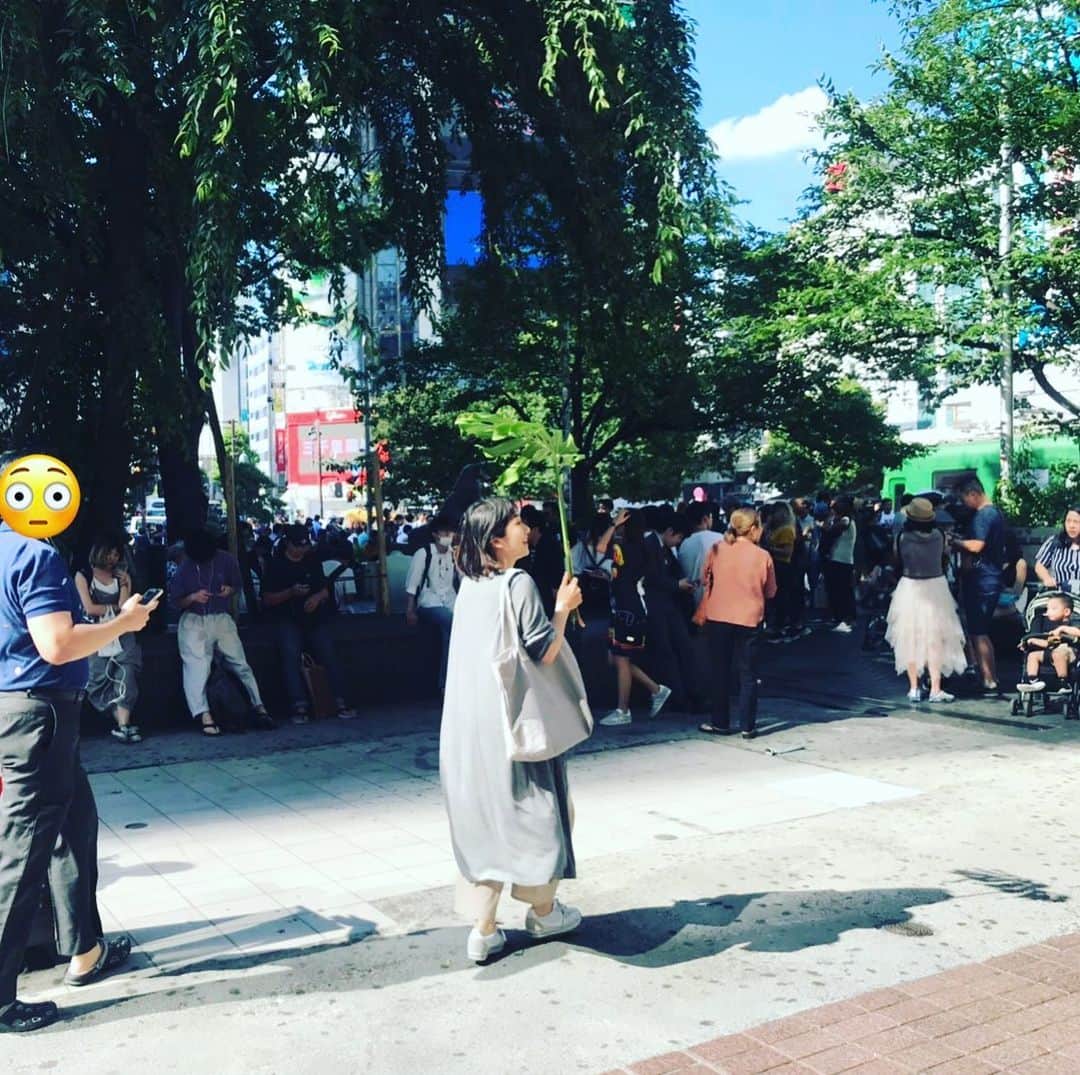 のインスタグラム：「友人宅に行ったら モンステラー を株分けしてもらいました🌱 グレーのカーディガンなのはたまたまです👀 #ハチ公前 #モンステラー  #まるでトトロ #すれ違う人からトトロと聞こえた #日傘 #天然の日傘 #友達爆笑 #渋谷 #悪目立ち #もらいました #恥じらいはないタイプ #待ち合わせにいいかも」