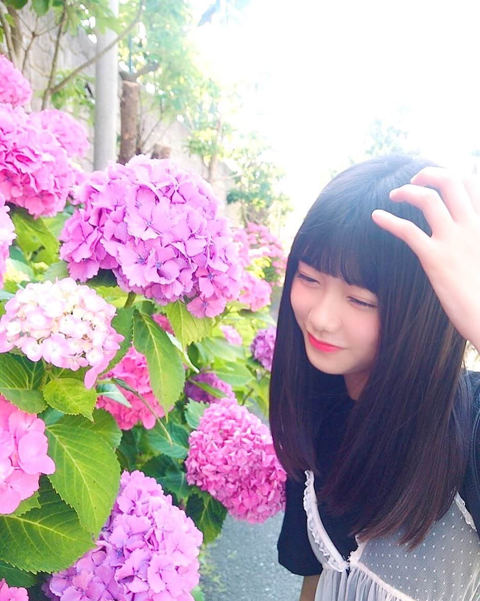 千葉恵里さんのインスタグラム写真 - (千葉恵里Instagram)「紫陽花♡♡ ・ ・ ・ #綺麗 #かわいい #梅雨」6月14日 22時24分 - eriierii_1027