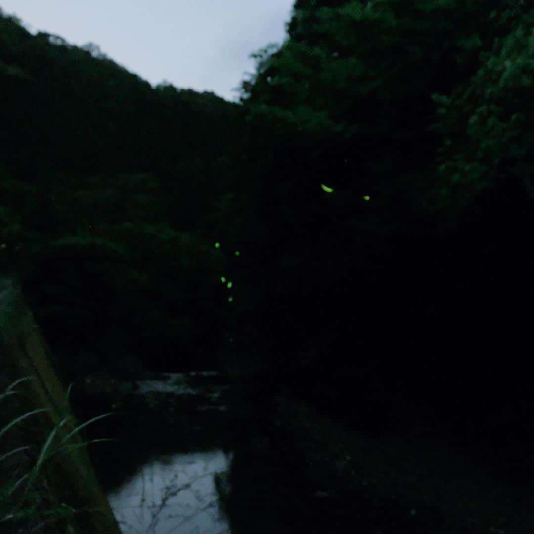 松村太郎のインスタグラム：「#ホタル #Fireflies」