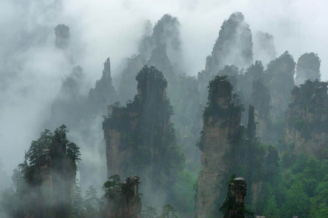 Michael Yamashitaさんのインスタグラム写真 - (Michael YamashitaInstagram)「Tianzi Mountain Nature Reserve: One of four scenic spots in the larger Wulingyuan Scenic and Historic Interest Area, a UNESCO World Heritage Site. Quartz sandstone pillars shrouded much of the time in mist make this appear like a classical landscape painting. The rains came and brought in the fog. These otherworldly cliffs were the real world inspiration for the floating Hallelujah Mountains of Pandora in James Cameron's film 'Avatar'. #Zhangjiajie #TianmenMountain #Wulingyuan」6月15日 5時06分 - yamashitaphoto