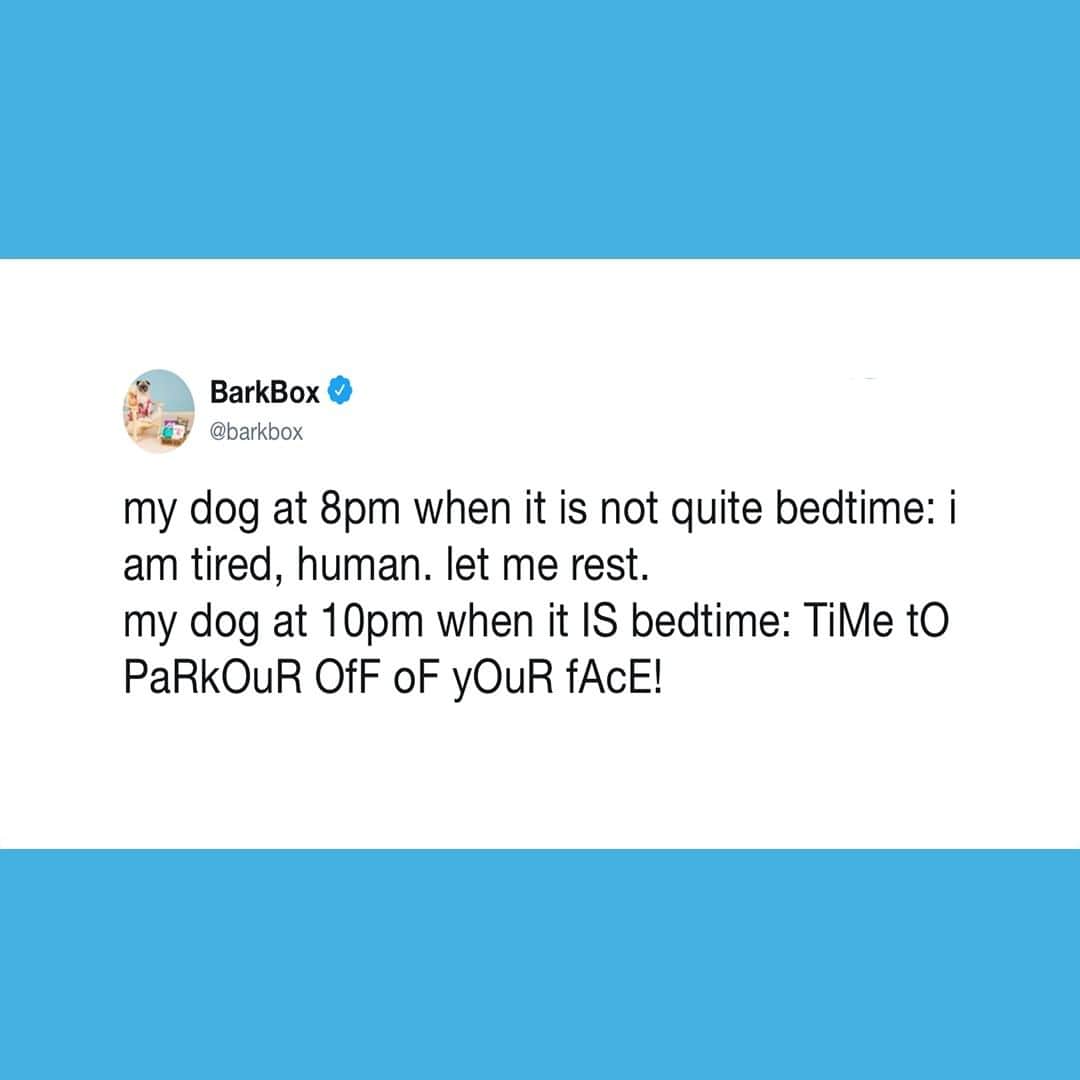 BarkBoxさんのインスタグラム写真 - (BarkBoxInstagram)「having a dog is like having a spouse... you'll almost never be ready to go to bed at the same time.」6月14日 23時45分 - barkbox