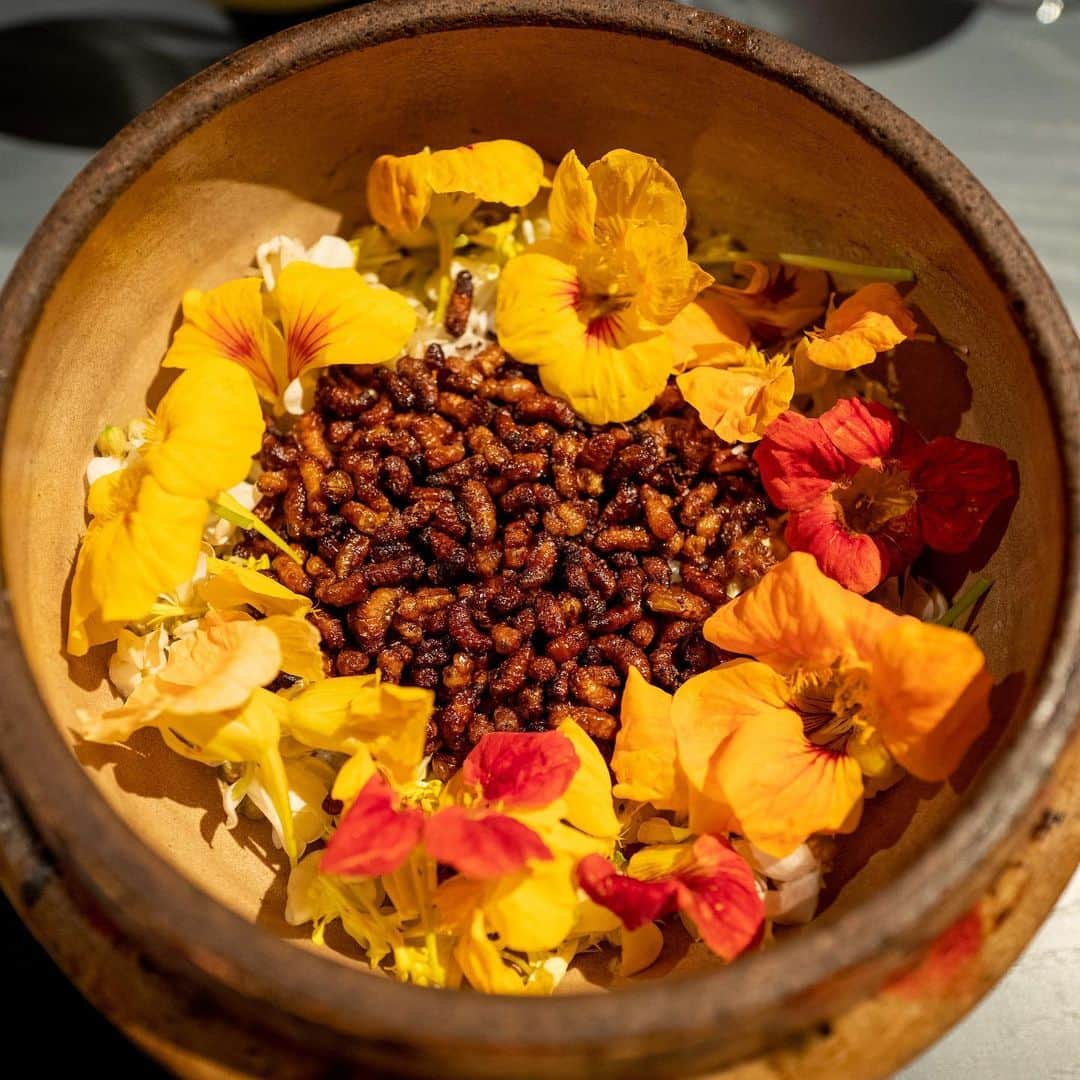 武井義明のグルメインスタ