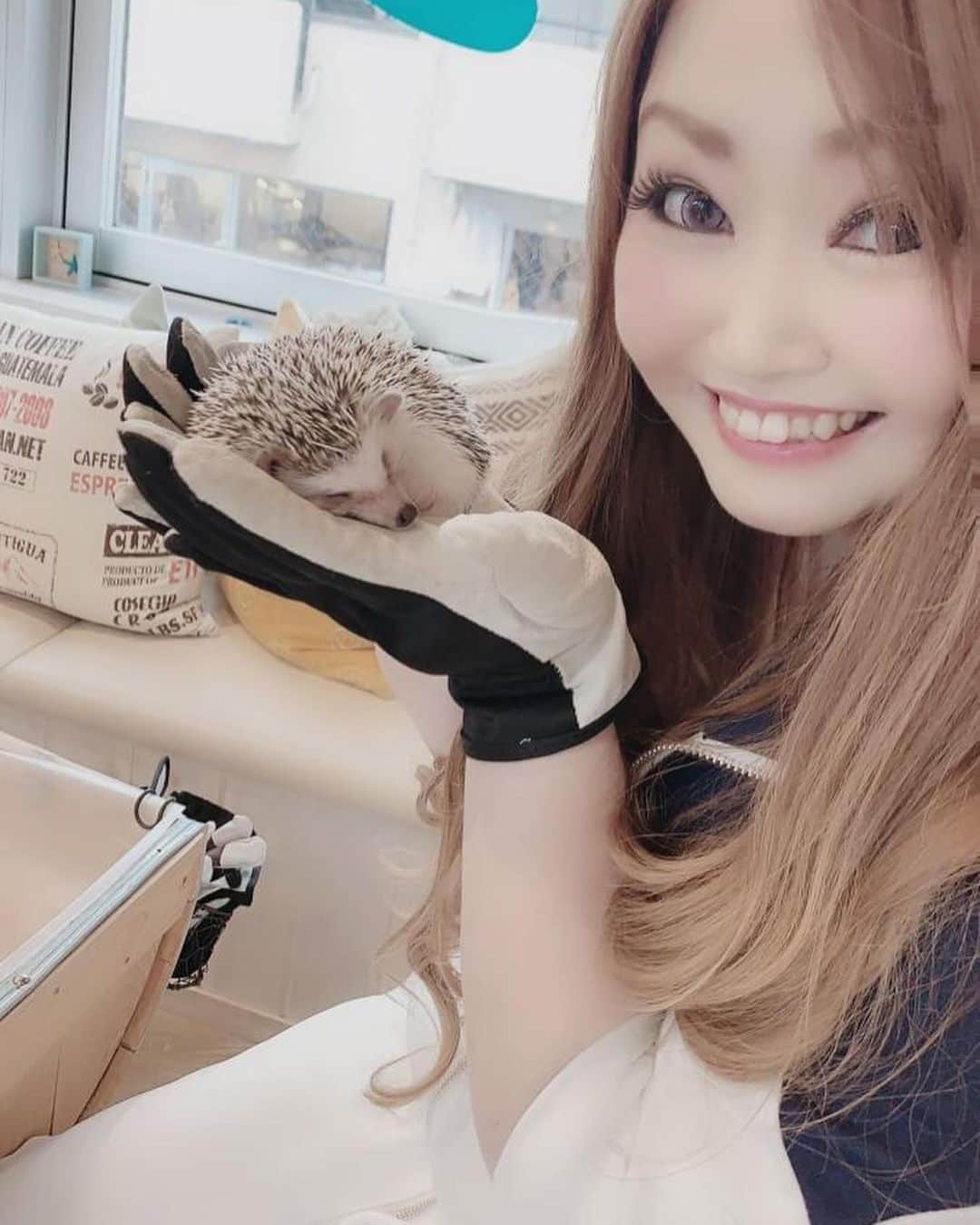 有奈めぐみさんのインスタグラム写真 - (有奈めぐみInstagram)「カワウソと握手、目的以外にもチンチラをフカフカもしたかった！ブランケットで膝に乗せてもらったんだけど、フンが動くたびにコロコロ笑笑ってたら写真撮り忘れちゃったよ笑フカフカ出来た♡ハリネズミは手袋してしかさわれなかったけど、昔飼っていたから懐かしくふんわりと♡ #av #風俗嬢 #41歳 #熟女 #渋谷 #デリヘル #ハリネズミ #原宿 #カフェ #チンチラ」6月15日 0時17分 - arina_megu