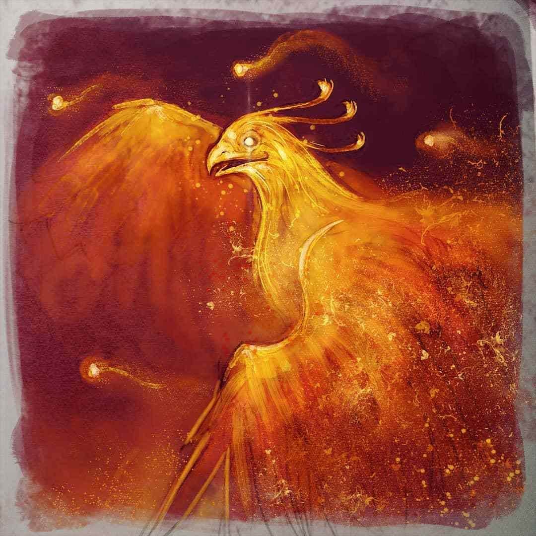 ハリー・ポッターさんのインスタグラム写真 - (ハリー・ポッターInstagram)「Reborn from the ashes, this phoenix is ready for its next adventure. #FanFriday [🖌:@wildquesadilla]」6月15日 1時04分 - harrypotter