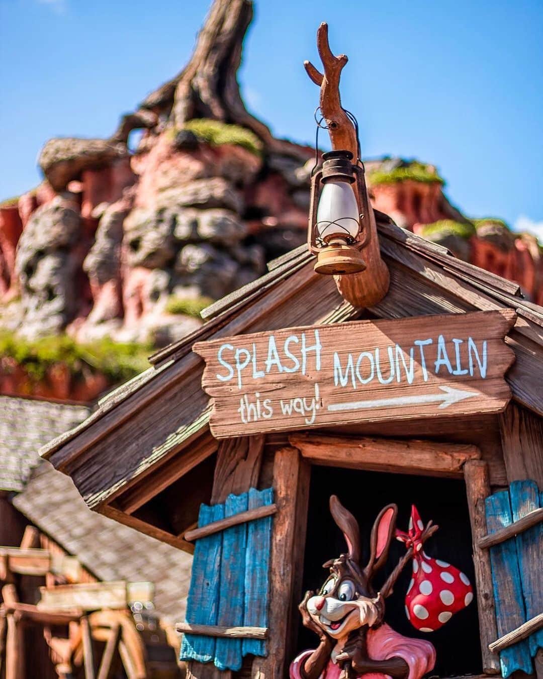 Walt Disney Worldのインスタグラム：「Your Laughing Place is right this way! #SplashMountain #WaltDisneyWorld (📷: @soarnarounddisney)」