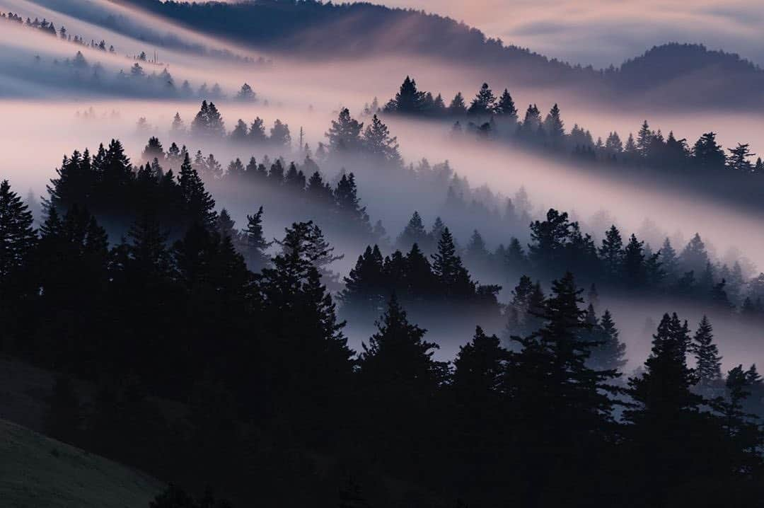 NikonUSAさんのインスタグラム写真 - (NikonUSAInstagram)「From nature photographer @dw_photo_ca: “Mystery makes the adventure memorable.” Shot with the #Nikon #D850 and AF-S #NIKKOR 70-200mm f/2.8G ED VR II lens. We love seeing the photos you’re sharing with us, so make sure to keep using #NikonNoFilter for a chance to be featured!」6月15日 2時20分 - nikonusa