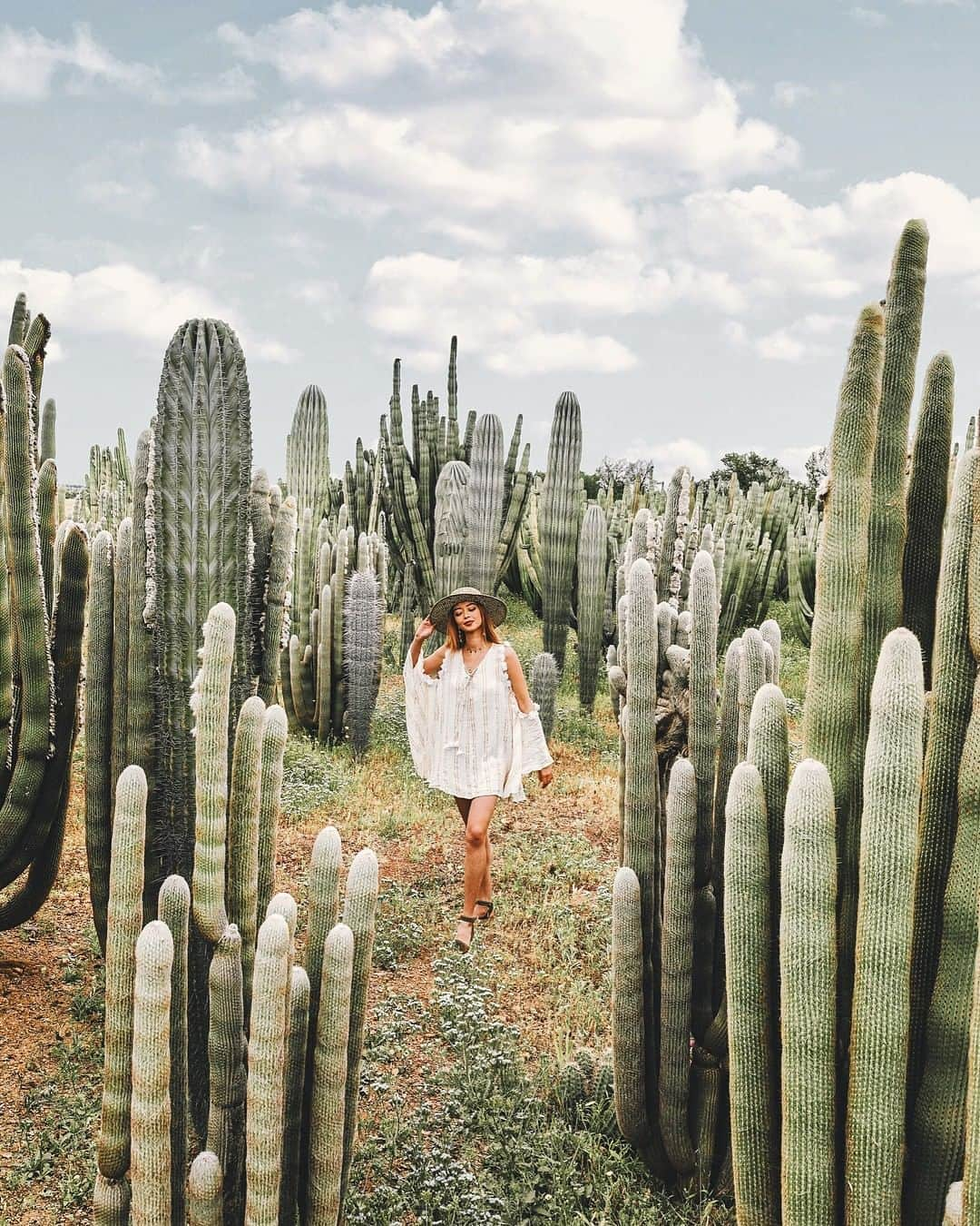 Kapten & Sonさんのインスタグラム写真 - (Kapten & SonInstagram)「Have a fancactus weekend, Kaptens! 🌵 @taramilktea found a beautiful place surrounded by cacti! ✨ #bekapten #kaptenandson⠀ .⠀ .⠀ .⠀ #seekmoments #travelvibes #travelstories #travellingram #travelbucketlist #fulltimetravel #travelpassion #adventureseekers⠀」6月15日 3時01分 - kaptenandson