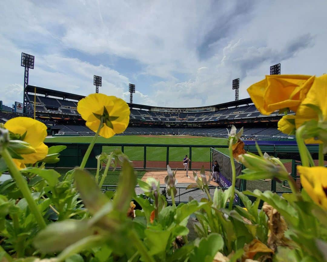 MLBさんのインスタグラム写真 - (MLBInstagram)「What is your favorite MLB ballpark? 📷: #withGalaxy S10+」6月15日 3時16分 - mlb