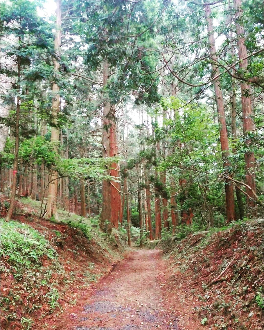 市川笑野のインスタグラム