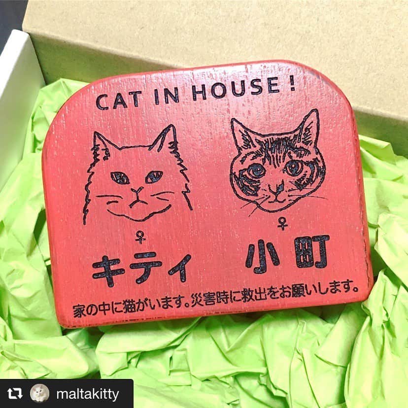 のインスタグラム：「@maltakitty さんが、作ったペット表札をアップしてくださいました。似てるーッ😆  2枚目、3枚目にうちのコちゃん、キティちゃんと小町ちゃんとのお写真も上げてくださっているのでぜひ見に行ってみてくださいね。  おっしゃる通り、サプライズでプレゼントにする方も多くいらっしゃいます。maltaさんありがとうございます😊  #repost @maltakitty via @PhotoAroundApp 【セミオーダーグッズ】 amacoのペット表札、nocoto.jpにて購入。 形、色、ねこの種類、テキストが選べて、名入れもしてもらえる。三毛猫とブチ猫は写真を送れば、その通りの模様に！！ キティも小町もそっくりで、外に取り付けるのがもったいないくらいかわいい。 プレゼントしても喜ばれそう〜。 #amacoのペット表札 #nocoto #猫 #ねこ #ネコ #cat #にゃんすたぐらむ #ねこすたぐらむ #catstagram #猫グッズ #ねこグッズ #グッズ #goods #猫雑貨 #maltamarie #毎日投稿」