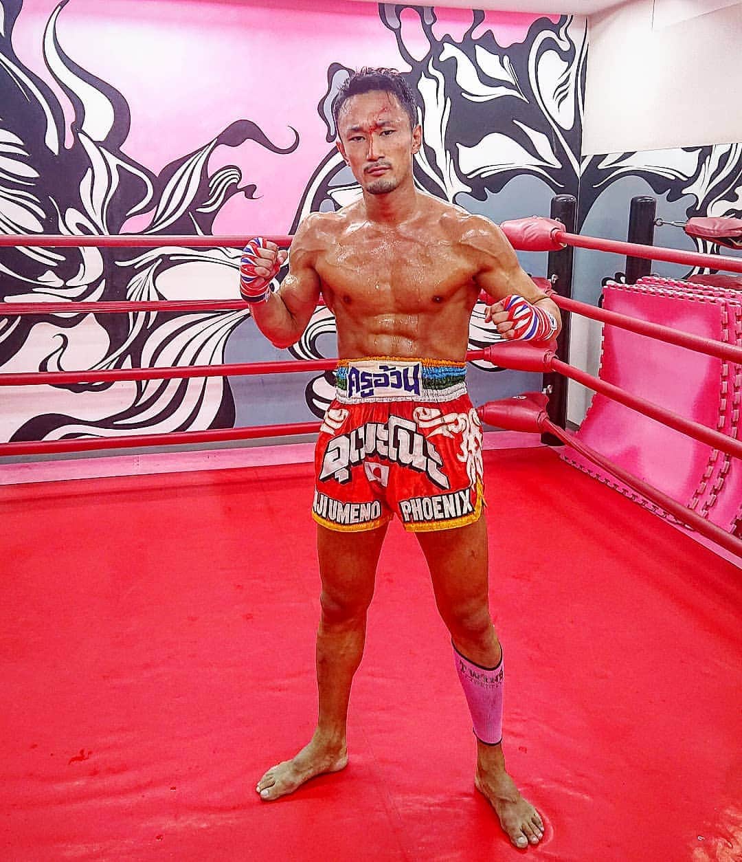 梅野源治のインスタグラム：「ボクシングスパーをしたらシリムァンパイに額を切られたw さらに目の上とオデコに痣が……… #これ以上ブスにしないでください #切実 #今日こそやってやるぞ👊👊」