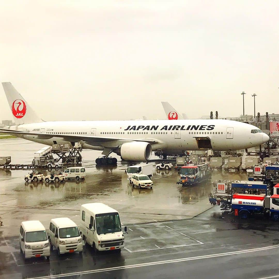 大原かおりさんのインスタグラム写真 - (大原かおりInstagram)「🐶💓 今から福岡です💁‍♀️ 飛行機乗るときの雨の確率が多すぎる件😎☔️w ☺︎ 昨日はイベントの用意で大先輩との会食をキャンセルしてしまい。。 申し訳なさすぎました😓💦 東京に戻ったらサシ飲みする約束をして 会社に缶詰で作業頑張りました😘❣️ ☺︎ 今日と明日は天神で『たかくら新産業×Otty』の 販売&受注会🐶🎶 ☺︎ たかくら新産業さんのケアアイテムはティーツリーを使ったりと、お肌や被毛にも優しい🐶💕 マダニ100%蚊は95%寄せ付けない虫除けや暑い夏にクールダウンできる画期的なミストも販売されます🐶💕 パッケージも可愛いのでオススメです❣️ ☺︎ 久しぶりのワンちゃんパパママさんに会えるのが楽しみ❤️ たかくら新産業さんの千葉さんに会えるのも楽しみ😍❣️ わたくし2日間ともずっと会場におります♡ 笑顔でお待ちしとりま〜すっ😘💕 ☺︎ 🐶たかくら新産業×Otty販売&受注会🐶 6月15日(土)12時〜20時 6月16日(日)11時〜20時 ☺︎ 場所:株式会社みらいクリエイト本社  住所:福岡市中央区天神4-1-17・博多天神ビル7F <<アクセス>> 地下鉄空港線「天神駅」16番出口より徒歩5分 日本銀行福岡支店より徒歩１分 * #福岡 #天神 #みらいクリエイト #たかくら新産業 #ティーツリーシャンプー #オーガニック #Otty #オッティ #新作商品 #受注会 #ペット同伴OK #ペットイベント #イベント #遊びに来てね #🐶 #😸 #🎟 #❤️」6月15日 6時16分 - oharagaori_otty