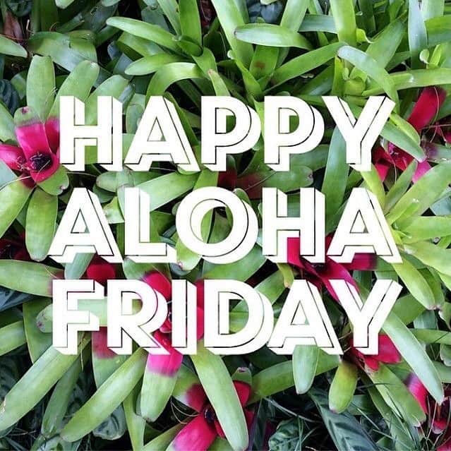 Lanikai Bath and Bodyさんのインスタグラム写真 - (Lanikai Bath and BodyInstagram)「Happy Aloha Friday from all of us at Lanikai Bath and Body! 🌺🌴🏖🏄‍♀️🌊 . . . #lanikaibathandbody #lanikaibeach #lanikaibathandbodyjapan #organic #natural #luckywelivehi」6月15日 6時39分 - lanikaibathandbody