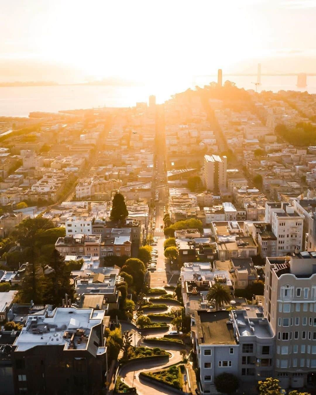 Travel + Leisureさんのインスタグラム写真 - (Travel + LeisureInstagram)「Golden hour over San Francisco 🌇T+L Editor @tizanner went on a "hotel crawl" in SF, and it changed the way he travels. Find out why you need to try it yourself at our link in bio! #tlpicks courtesy of @tiffpenguin」6月15日 6時45分 - travelandleisure