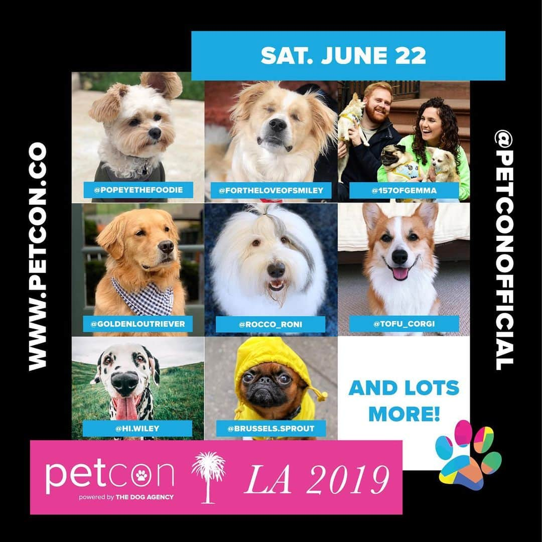 DogsOf Instagramさんのインスタグラム写真 - (DogsOf InstagramInstagram)「We can’t believe #petcon is only one week away! We can’t wait to see all our favorite Instagram pets and meet all of you at our meet + greet! Snag your tickets at petcon.co and don’t forget to swing by our @lucyand.co pop-up // @petconofficial」6月15日 8時15分 - dogsofinstagram