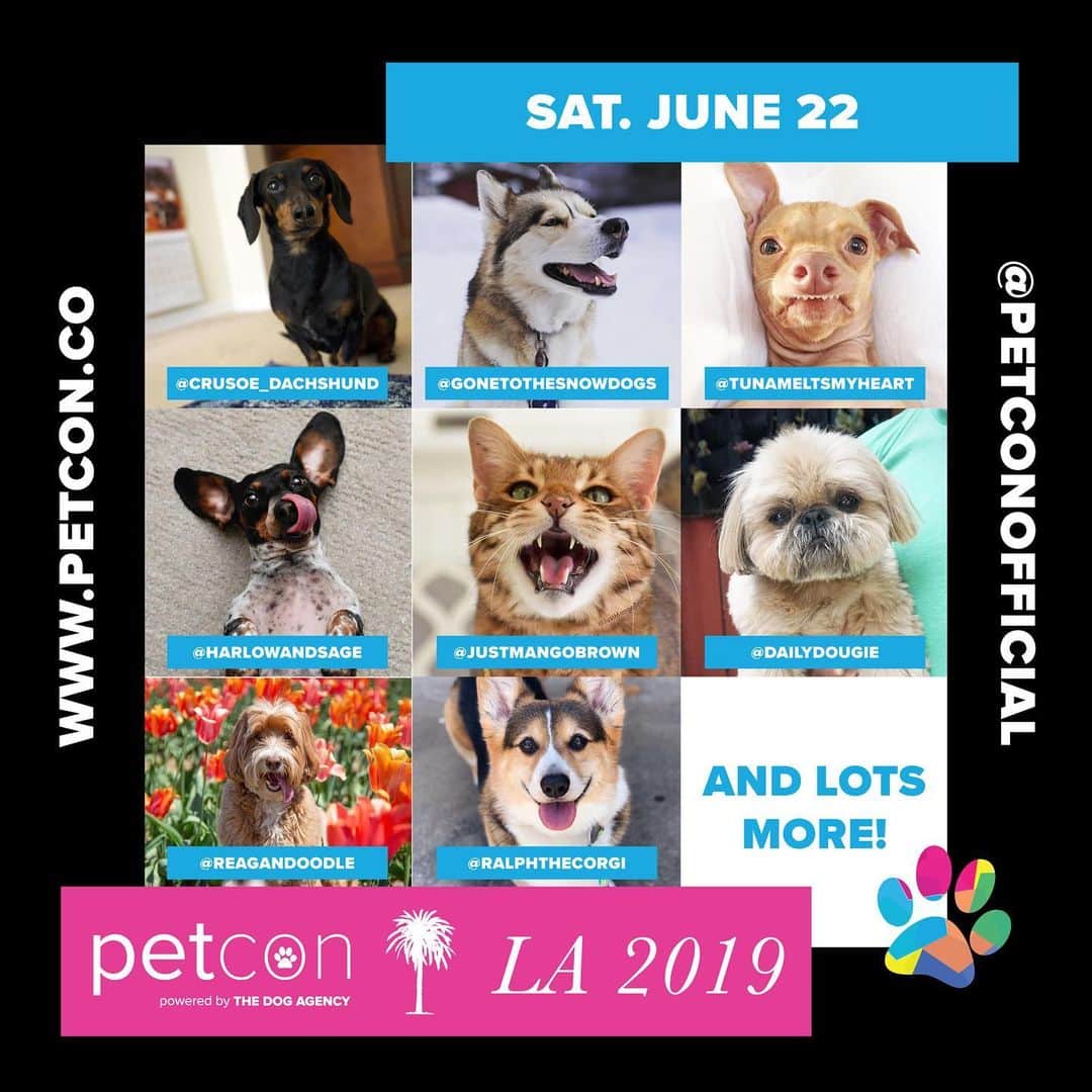 DogsOf Instagramのインスタグラム：「We can’t believe #petcon is only one week away! We can’t wait to see all our favorite Instagram pets and meet all of you at our meet + greet! Snag your tickets at petcon.co and don’t forget to swing by our @lucyand.co pop-up // @petconofficial」