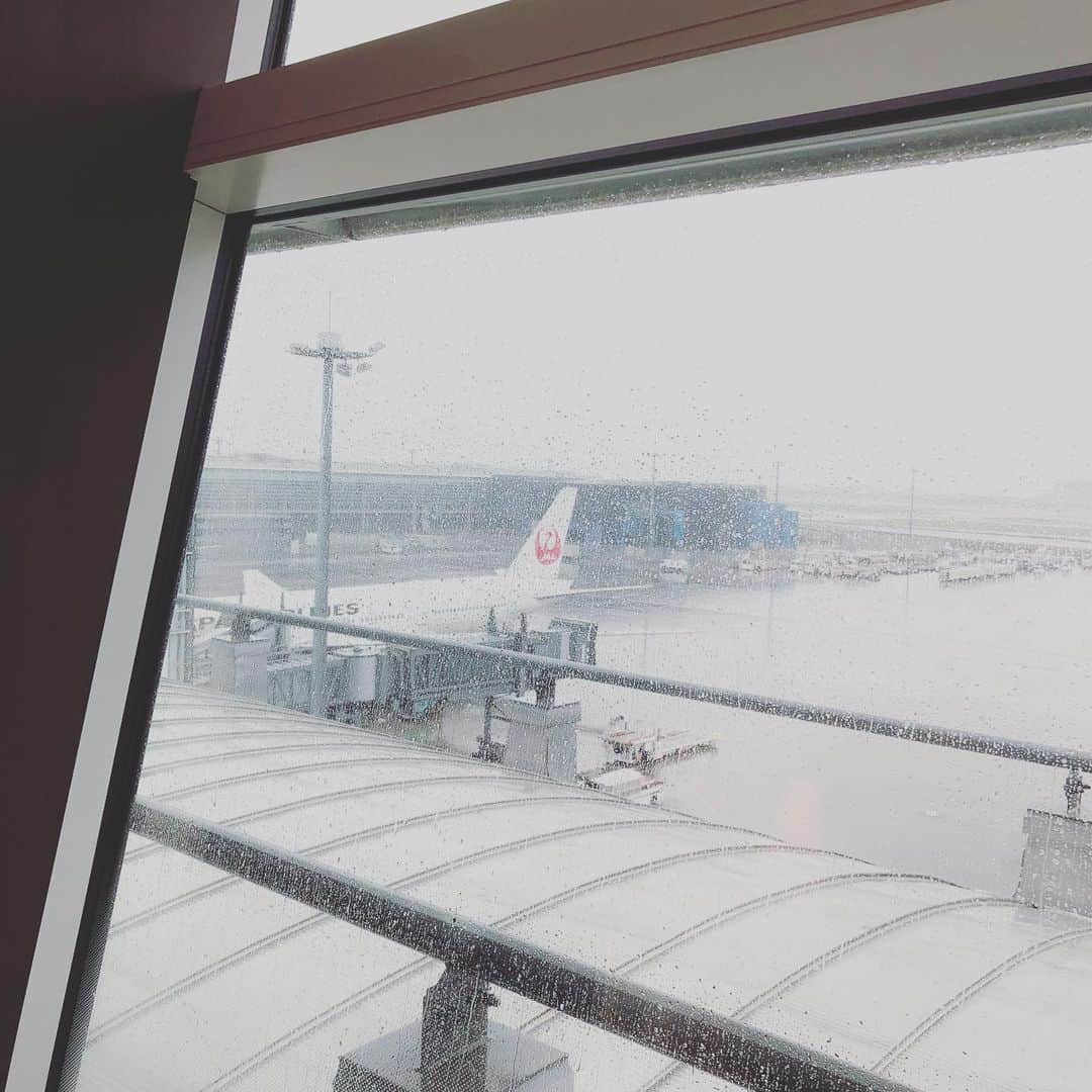 吉田正樹さんのインスタグラム写真 - (吉田正樹Instagram)「雨の羽田空港。 これから香港に出発です。」6月15日 8時47分 - yoshidamasaki.p