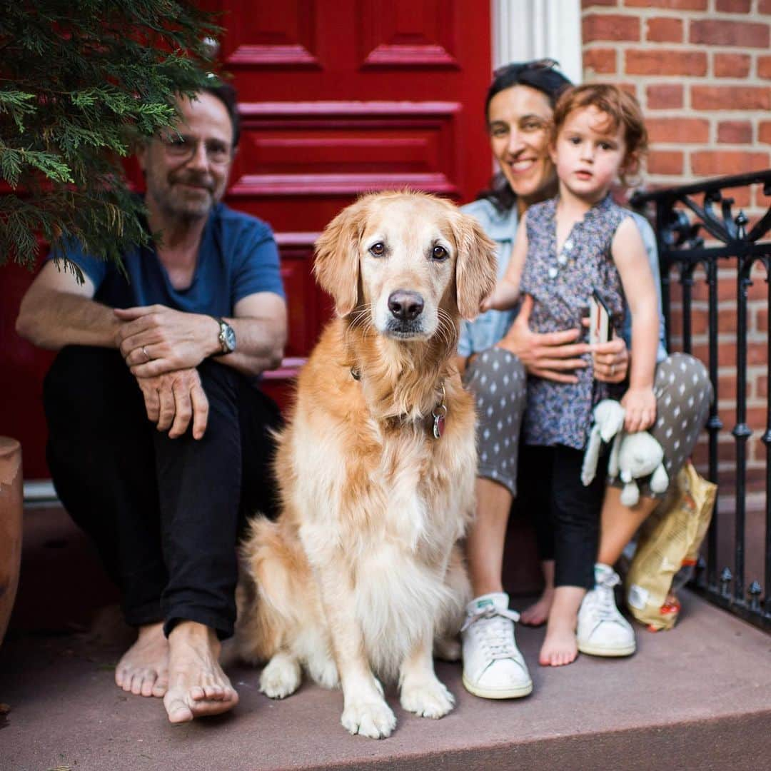 The Dogistさんのインスタグラム写真 - (The DogistInstagram)「Alice, Golden Retriever, W 4th & Charles St., New York, NY • “She wants to be cuddled by anyone in the neighborhood. She’ll lay on the street waiting to be cuddled.”」6月15日 8時51分 - thedogist