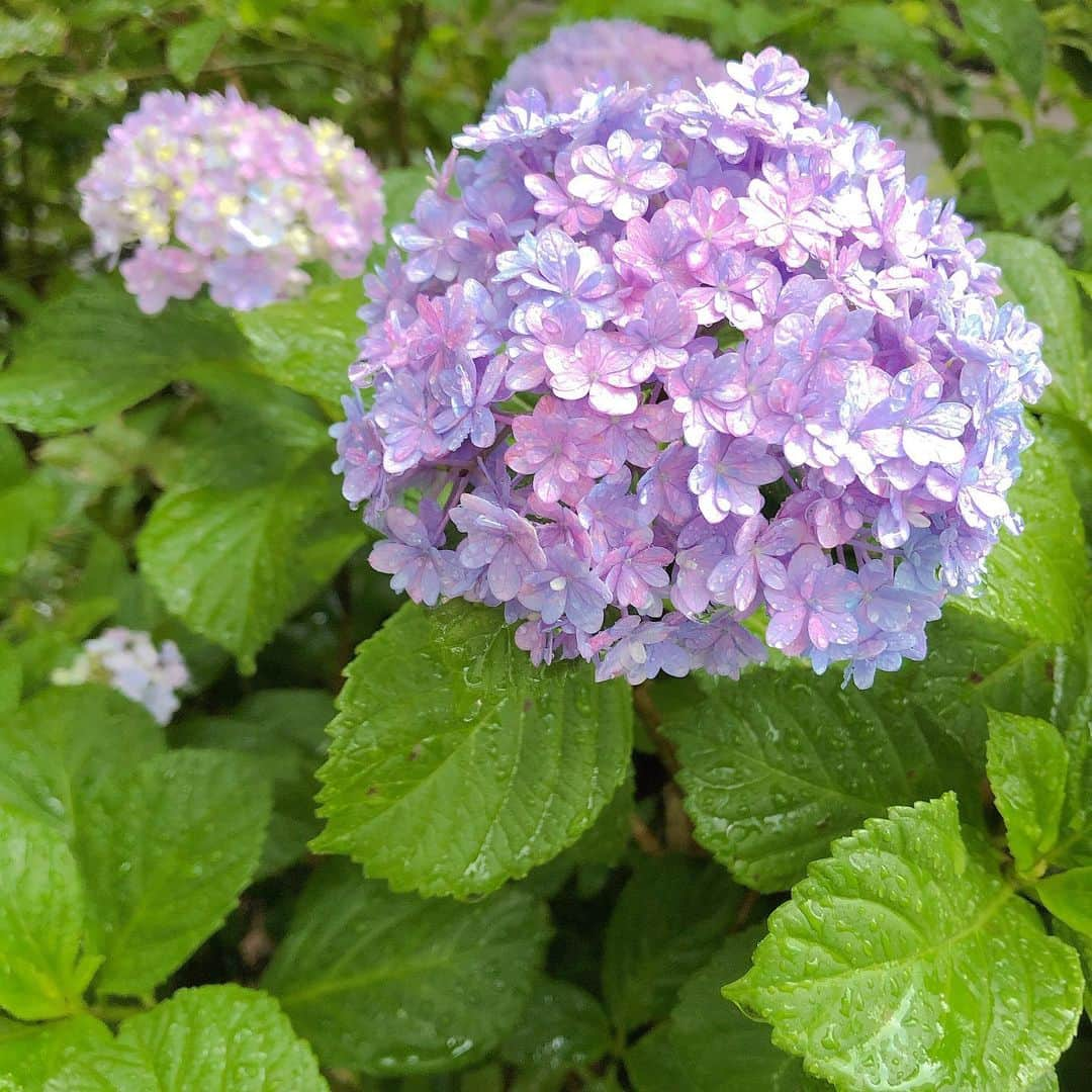 高橋里帆のインスタグラム