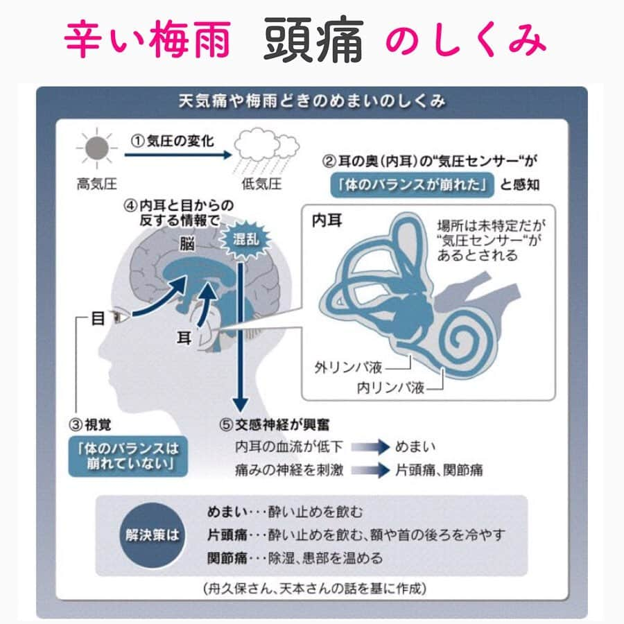 笑顔をリフォームする@健康小顔職人さんのインスタグラム写真 - (笑顔をリフォームする@健康小顔職人Instagram)「． 梅雨の時期の体調不良をチェックしてみましょう。チェック項目が多い方は「湿気負け体質」かもしれません。 ． 「湿気負け体質」ってなに？と思いますよね。体に余分な水分がたまり、むくみ体質になっているということです。 ． それは、水の飲み過ぎではなく、余分な水分が体に溜まってしまい、むくみや頭痛、めまい、食欲不振など様々な症状を引き起こす原因になっているのです。 ． また、梅雨時期は気圧のために頭痛になる方が増えます。雲が低く地上が圧力鍋状態になっていて、私達は圧迫された状態になっています。その為、血管が圧迫され太くなり神経にあたって頭痛となります。 ． 体内の気圧センサーバランスが崩れるため、酔い止め薬を飲んだり患部を冷やしてあげると良いでしょう。 ． 頭痛に良いツボなども参考にしてみてくださいね。 ． ． 今日も皆様にとって笑顔溢れる一日となりますように✨ ． ． 💆🏻‍♀️顔のコリを感じたらお顔の整体「小顔整顔トリートメント」 👰ブライダル小顔🤰マタニティ小顔＆足リフレ ♨️代謝を上げる「Hot&Coldストーンリンパマッサージ」 ご予約はプロフ🔗→HP→予約サイトへ！ ． ． ✨マイナスエネルギーをデトックス！ チャクラエネルギーセラピー ※Hペッパー等の予約サイトからは予約できません。ご予約は必ずホームページからお願いします(プロフ🔗) ． ． 🍀リフトアップクリーム&ボタニカルオイル ネットショップにて発売中 https://yushian.thebase.in/ baceアプリ→小顔職人で検索🔍 ． ． #偏頭痛 #梅雨 #梅雨の体調不良 #湿気 #湿度 #健康 ． ． #幸せはいつも自分が連れてくる #笑顔は世界を明るくする #皆んなでハッピーになろう #自分を愛そう #幸せ貯金を貯めよう #世界が愛で溢れますように #自然治癒力は素晴らしい  #健康な小顔になろう #体温を上げて代謝を上げよう #心身共に整ってこそ美容 #笑顔をリフォームする小顔職人 #ネットショップでクリーム発売中 #ホットペッパー掲載中 #いつもご覧頂きありがとうございます」6月15日 9時09分 - kogao_shokunin