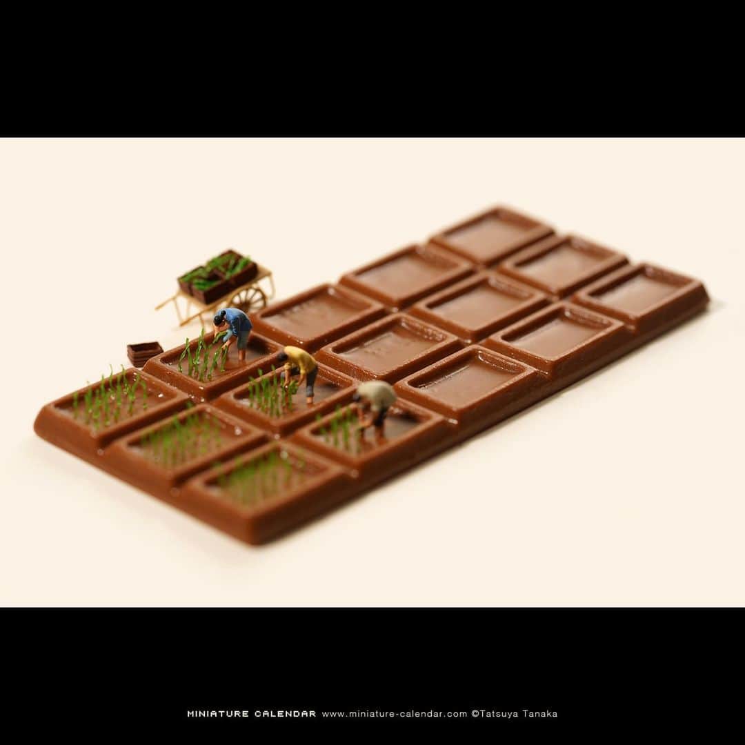 田中達也さんのインスタグラム写真 - (田中達也Instagram)「. 6.15 sat “Chocolate Field” . 農業は甘くない . #板チョコ #田んぼ #Chocolate #PaddyField #食品サンプル #Fakefood . ─────────────── 《EXHIBITION info》 . 【MINIATURE LIFE展 in 名古屋】 Miniature Life Exhibition in Nagoya 5/29 wed - 7/1 mon . 【MINIATURE LIFE展 in 山口】 Miniature Life Exhibition in Yamaguchi 5/24 fri - 7/7 sun #MiniatureLife展 #ミニチュアライフ展 . 【センス・オブ・スケール展】 Sense of Scale Exhibition 4/13 sat - 6/23 sun  #センスオブスケール展 #横須賀美術館 . Please look at the Instagram story’s highlight for more information. . ─────────────── 《Next EXHIBITION info》 【微型展 2.0 -田中達也的奇幻世界- in 高雄】 Miniature Life Exhibition in Kaohsiung 6/21 fri - 9/15 sun #微型展 #田中達也微型展 .」6月15日 9時50分 - tanaka_tatsuya
