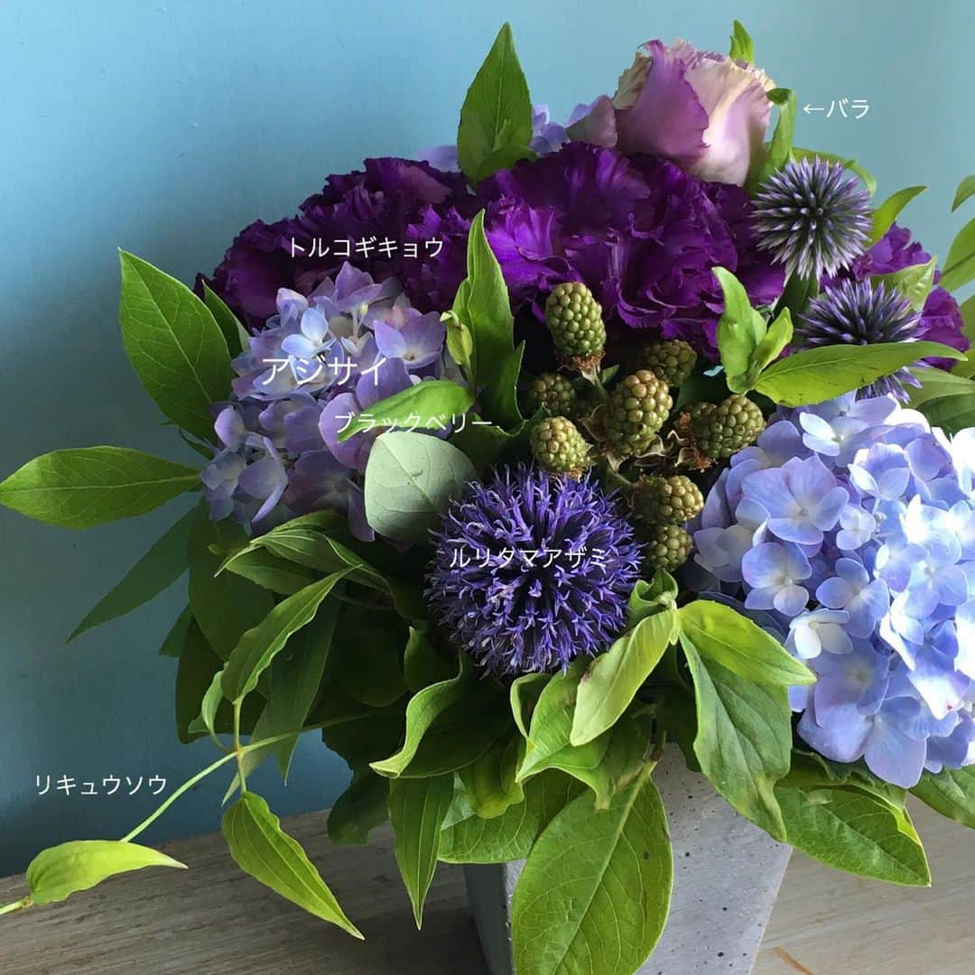雑誌『花時間』さんのインスタグラム写真 - (雑誌『花時間』Instagram)「おはようございます。ルリタマアザミは、楽しんでいますか？  先日ご提案したように白と合わせると、スッキリ。青や紫のお花となら、こ〜んなにもしっとりとした美しさを見せてくれます。ルリタマアザミって？という人は２枚めのpicをご覧あれ。なお、茎に細かな産毛があるためか、水が濁りやすいお花です。浅めの水にいけて、こまめに水替えしながらいけることが、ルリタマちゃんの鉄則✌️ 葉っぱもだらりとしちゃうので、あらかじめ取ってからいけてくださいな！  ちなみに、ルリタマアザミは、ギリシャ語の「ハリネズミ🦔」を意味するエキノスを語源とするエキノプス属。花も葉っぱもチクチクして、触ると、ハリネズミってこうなのかなぁ…なんていつも思ったりします（笑）  では、本日は雨風が強いようなので、お出かけの際はご注意くださいね☂️ 素敵な週末を！  by ピーターパン  花 @soranohako  #hana #flower #flowers #flowerslovers #flowerstagram #flowerarrangement #bleuflowers  #花時間 #花時間2019  #花好き #花藝 #花好きな人と繋がりたい #花が好きな人と繋がりたい #花のある生活 #花のある暮らし #ルリタマアザミ  #GlobeThistle #アジサイの季節 #青い花が好き #雨の花 #梅雨の花 #紫の花  #雨の日に #ブラックベリー #爽やかな花 #botanicallife #花屋さんへ行こう」6月15日 9時48分 - hanajikan_magazine