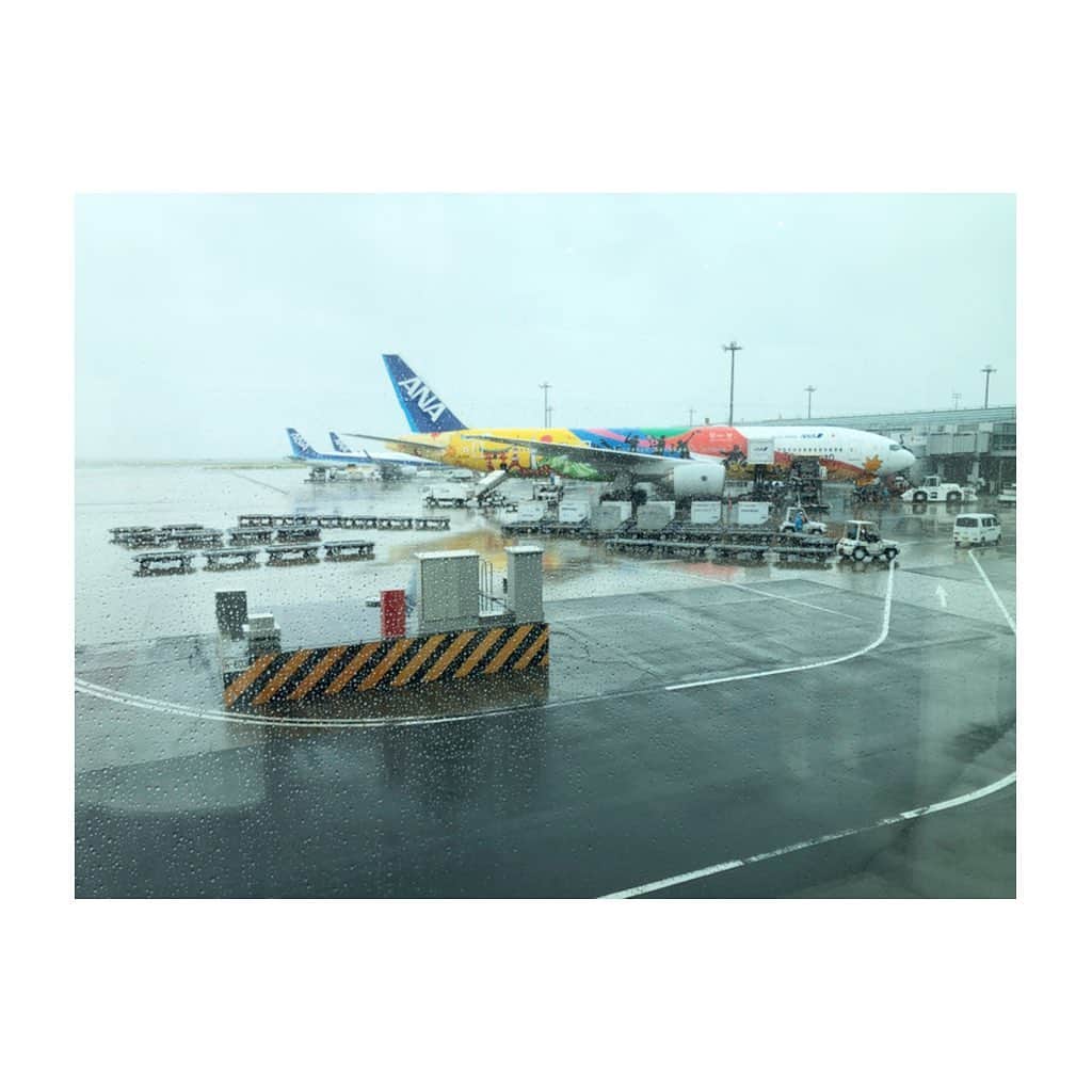 寺内健のインスタグラム：「オリンピック仕様✈︎ #ANA #olympic #2020」