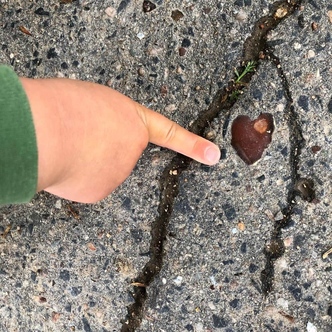 のインスタグラム：「Everywhere 📸 @marioncotillard」
