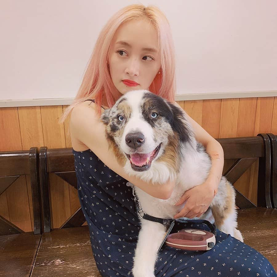 チョン・ニコルさんのインスタグラム写真 - (チョン・ニコルInstagram)「오구오구 이뻐 #njDuke」6月15日 12時08分 - nicole__jung