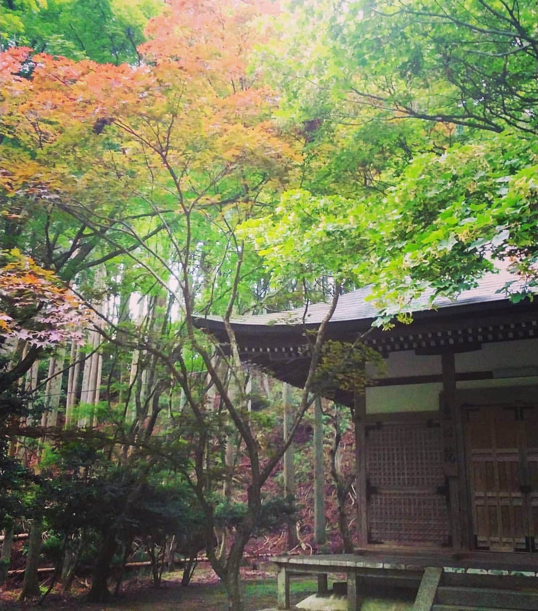 のインスタグラム：「比叡山探訪、昨日の続きです。 横川中堂の次は恵心堂へ。 雨がサッと降りかかり、何とも言えない風情でした！ #比叡山 #恵心堂 #ナルト歌舞伎休演日 #naruto #横川」