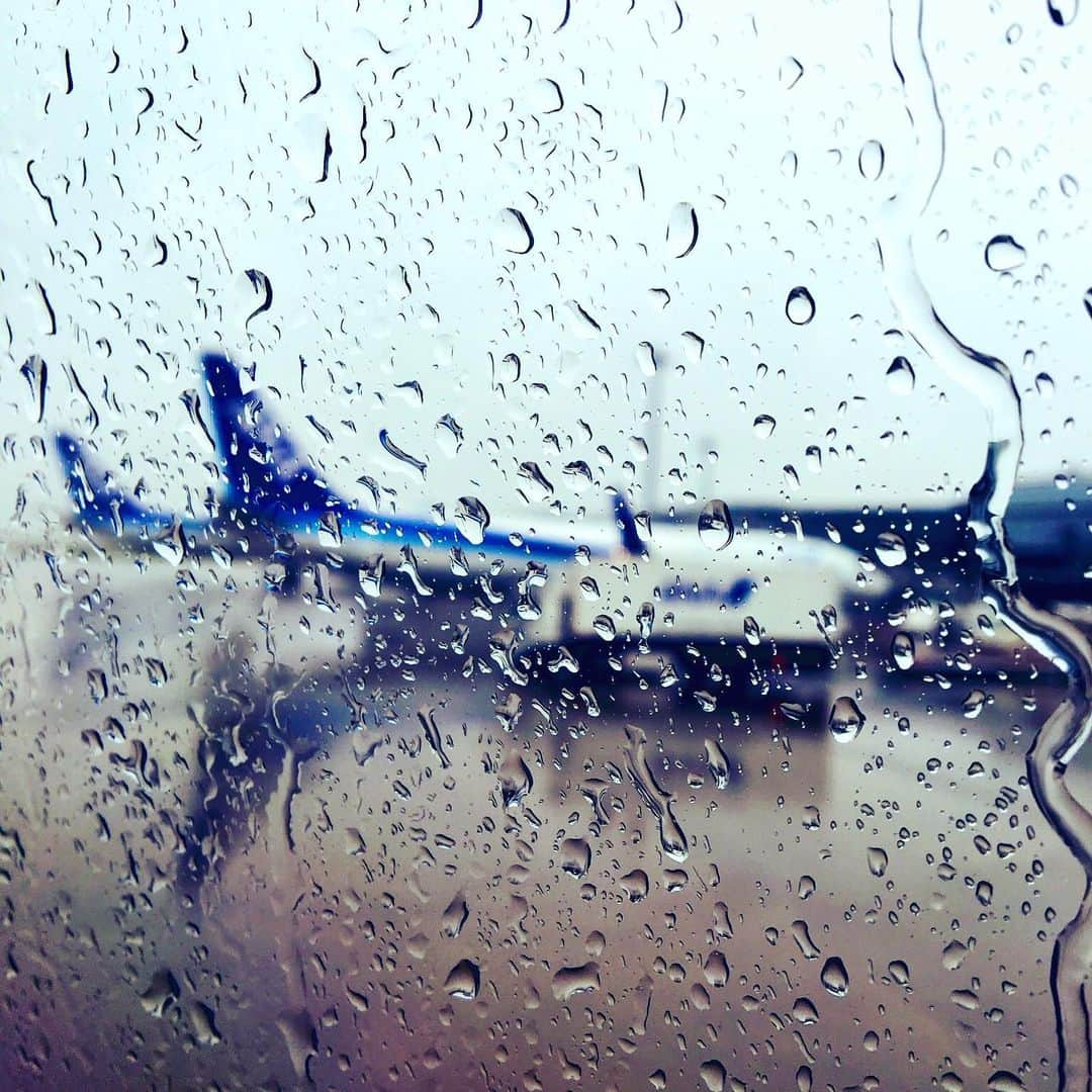 金子三勇士さんのインスタグラム写真 - (金子三勇士Instagram)「Good morning! Flying to Hokkaido #ANA #HanedaAirport #Hokkaido #Concert #Pianist #MiyujiKaneko #Ontour #空の旅 #飛行機 #全日空 #羽田空港 #北海道 #演奏旅行 #ピアニスト #金子三勇士 #雨 #rain」6月15日 12時21分 - miyujikaneko_official