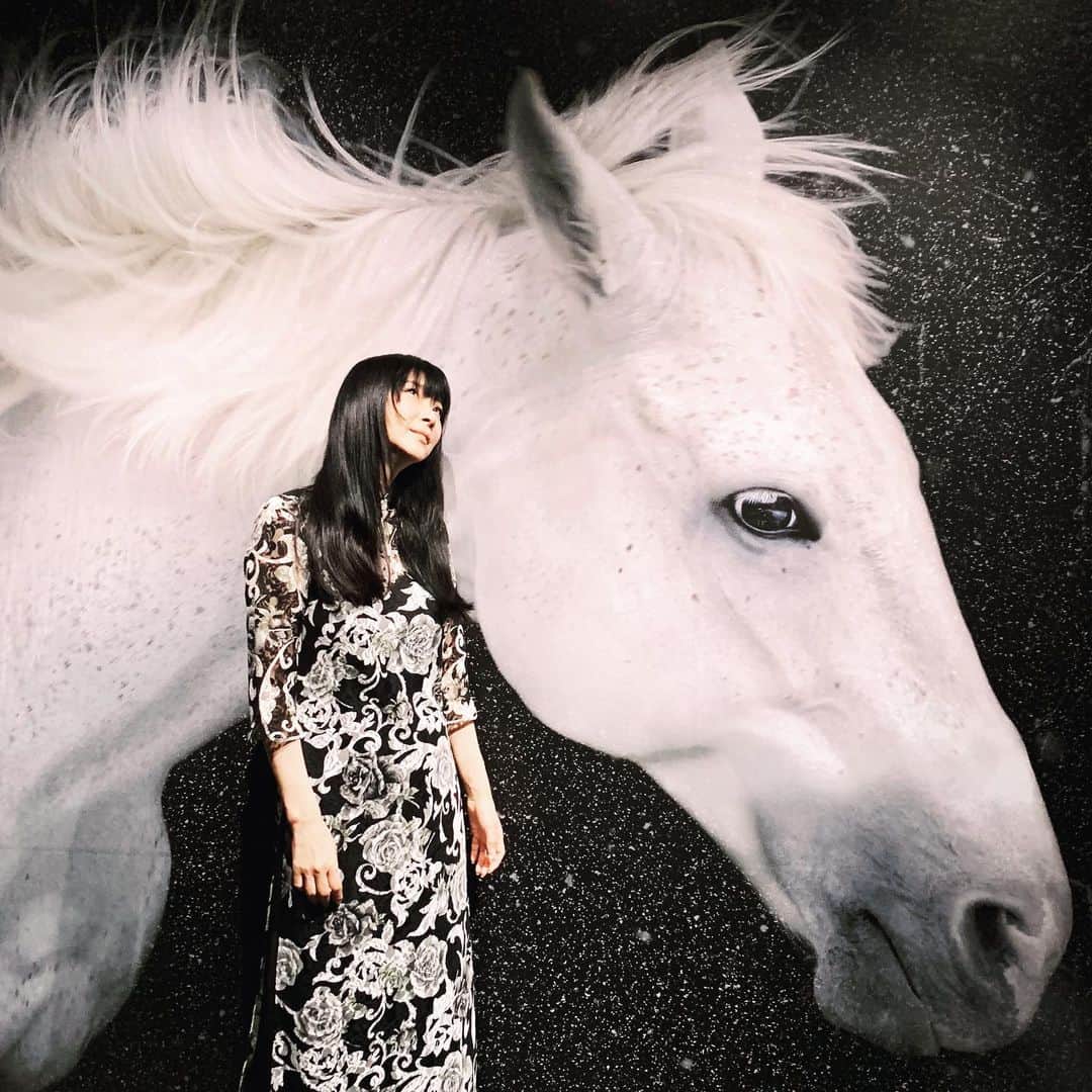 安珠のグルメインスタ