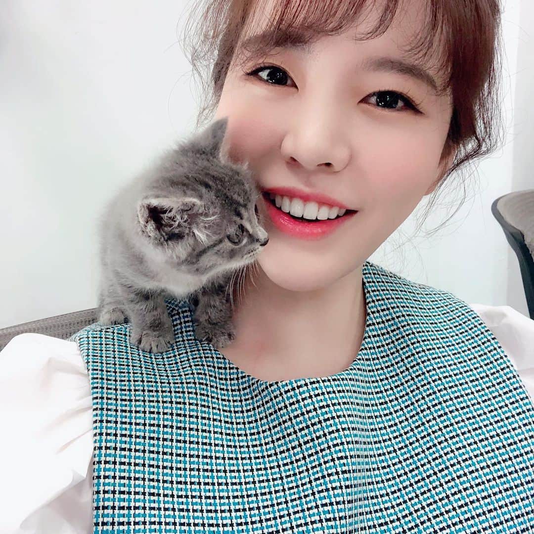 サニー のインスタグラム：「내 어깨 위의 고양이 후추추추!!!!!!!!! #후추 소금이도내어깨를좋아해줬으면」