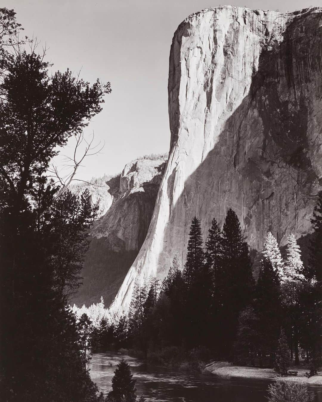 フィラデルフィア美術館さんのインスタグラム写真 - (フィラデルフィア美術館Instagram)「Today we celebrate the great outdoors, the marvels of the wilderness, and of course, majestic animals. Happy #NaturePhotographyDay! • “Chipping Sparrow, Great Spruce Head Island, Maine," 1977, by Eliot Porter. "El Capitan, Sunrise," 1956 (negative); 1959 (print), by Ansel Adams © The Ansel Adams Publishing Rights Trust. "Charging Elephant, Central African Republic” (detail), 1993, by Michael Nichols. "San Carlos Lake, Arizona” (detail), 1938, by Edward Weston.」6月15日 22時08分 - philamuseum