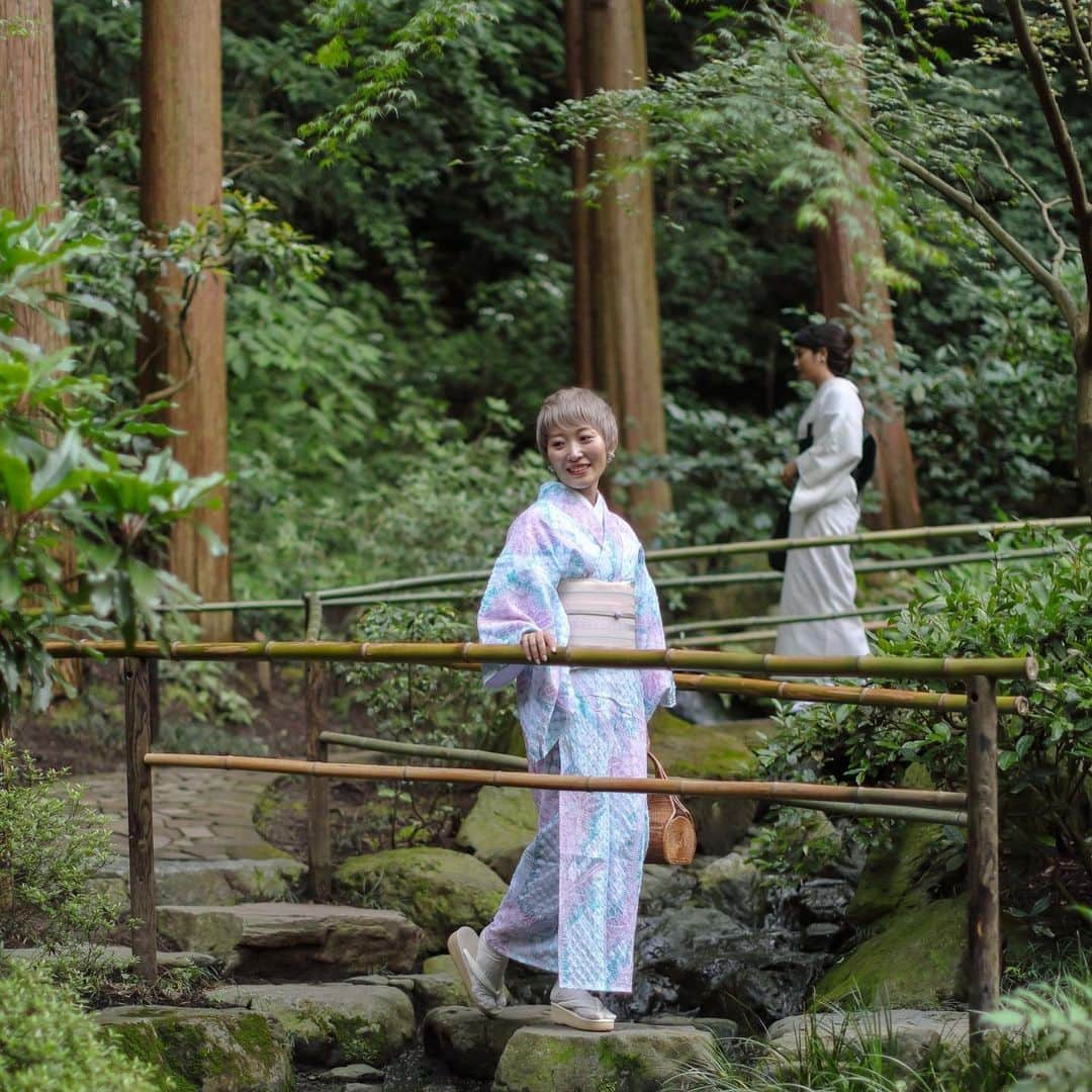 くまみきさんのインスタグラム写真 - (くまみきInstagram)「鎌倉着物さんぽの動画アップしました👘✨﻿ あっこちゃんとは毎月着物会してるんだけど今回始めて動画まわしてみたよ🤤﻿ まったりオフモードな動画です💗﻿ YouTubeでチェックしてね〜✨﻿ ﻿ Photo by @boss.aurouge.happyshoot ﻿ ありがとうございました☺️💗💗💗﻿ ﻿ #鎌倉 #明月院 #紫陽花 #着物 #着物コーデ #浴衣﻿ #kimono #kimonostyle #着物コーディネート」6月15日 22時51分 - kumamiki